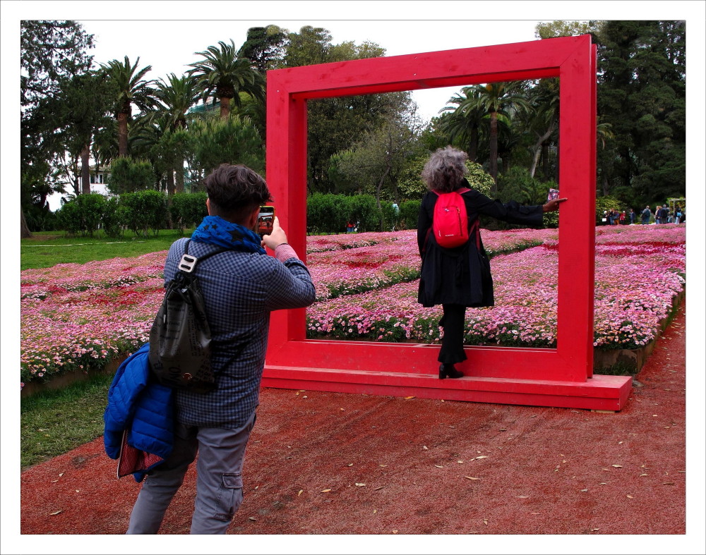 A picture with frame.  Euroflora 2018