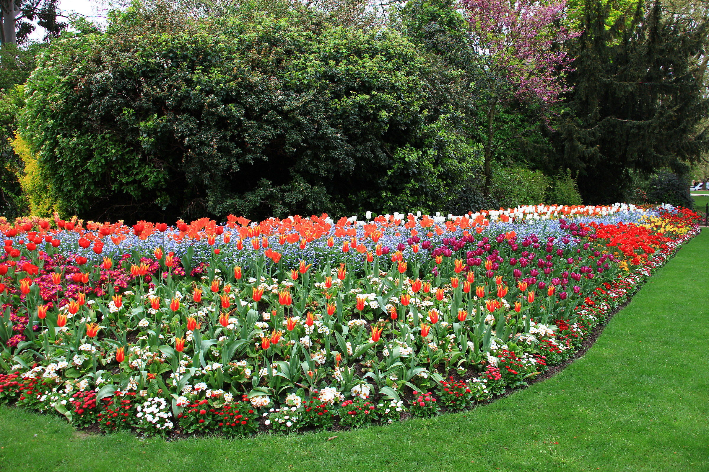 S. James Park - Londra