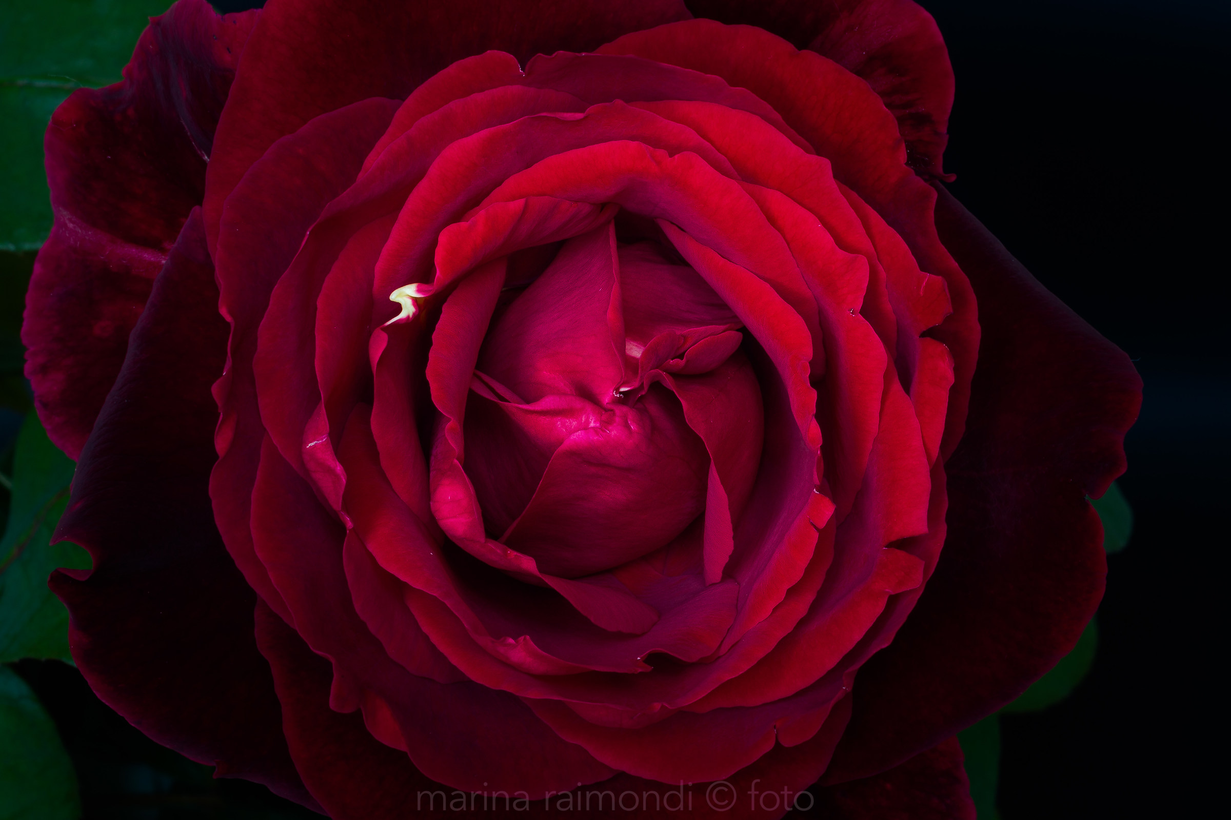 Perfetta geometria naturale