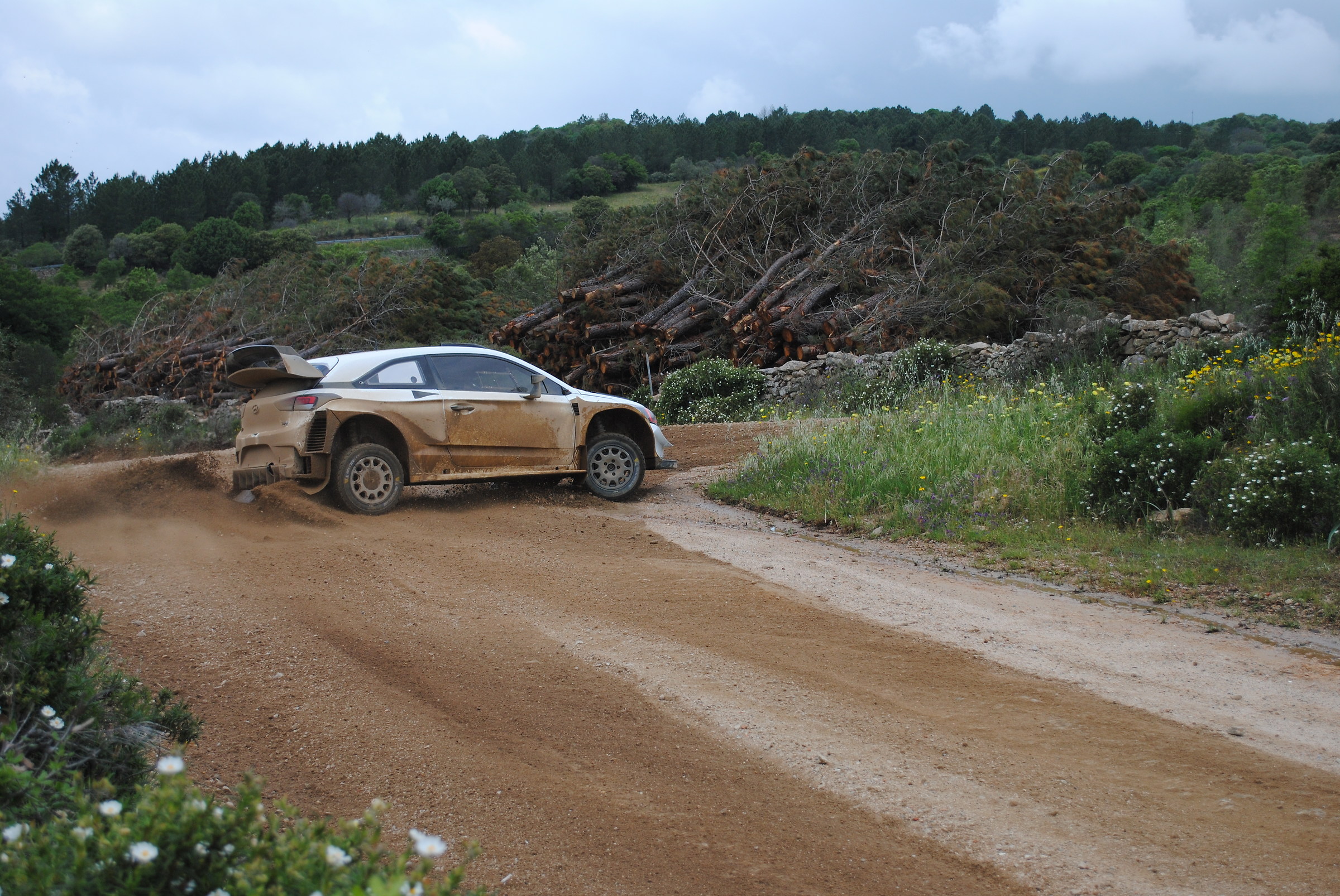 TEST WRC
