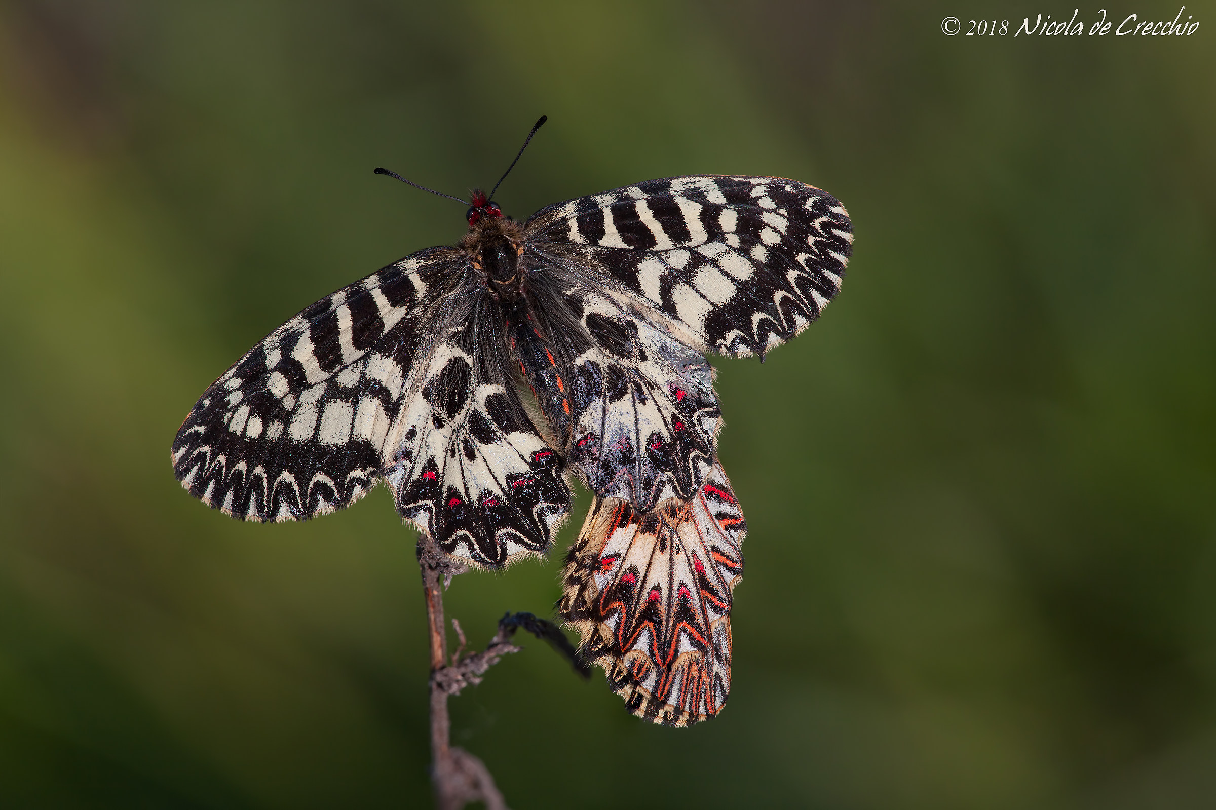 When the sun comes...