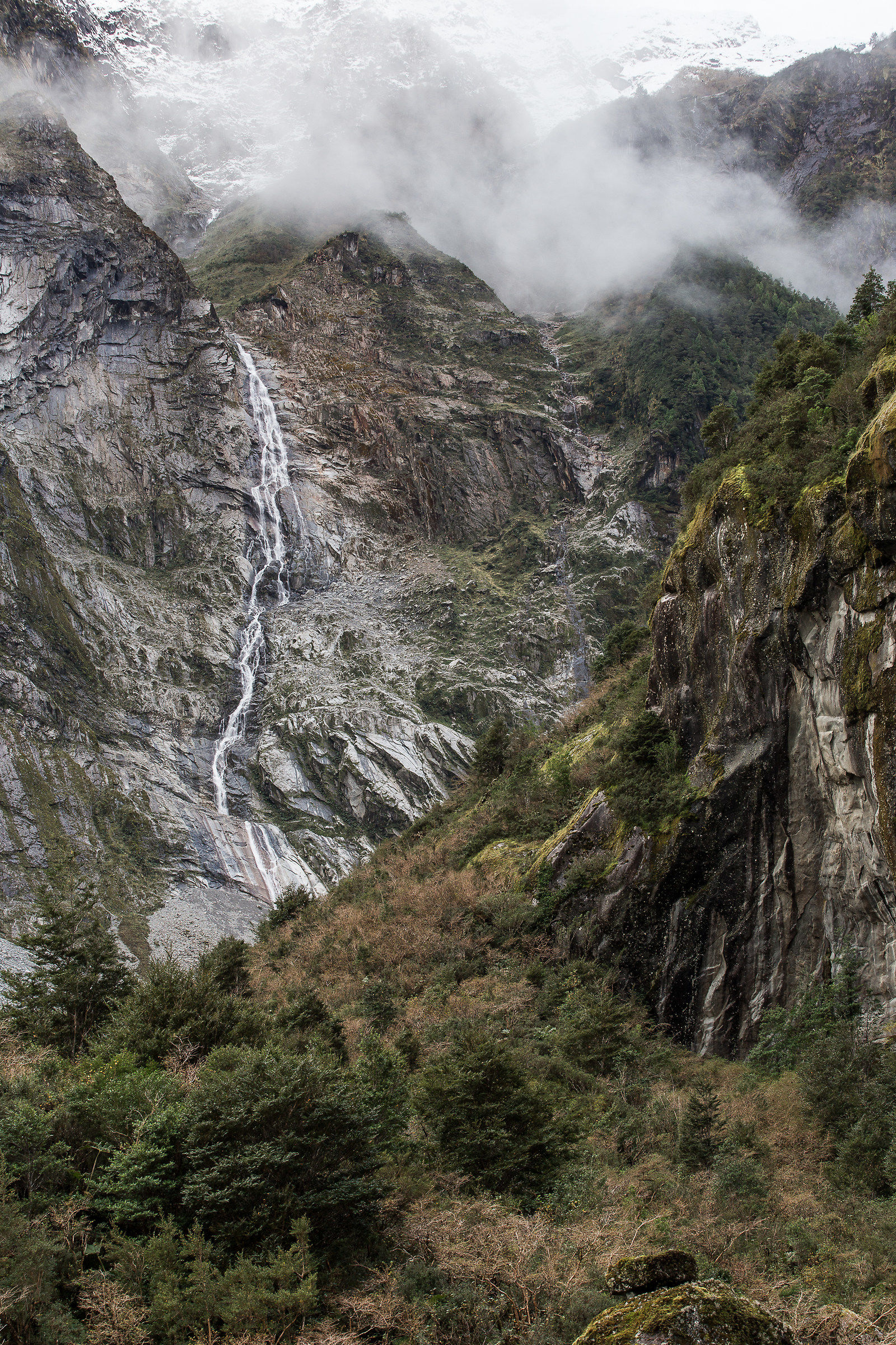 Queulat National Park