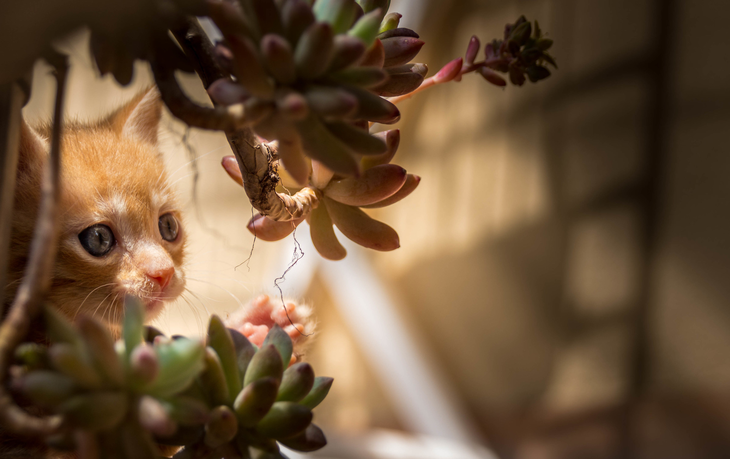 Alla scoperta del mondo