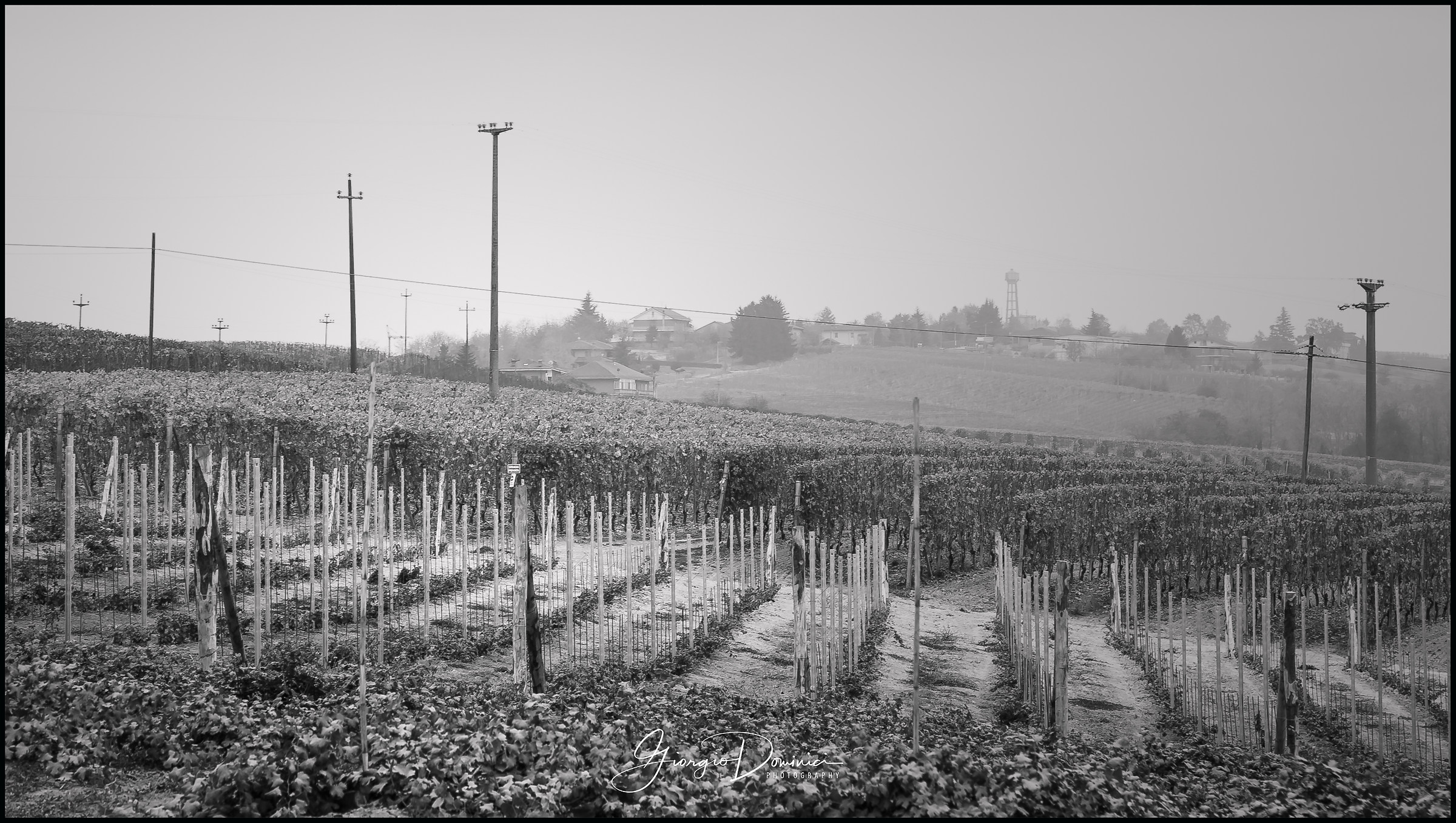 paesaggio autunnale bw