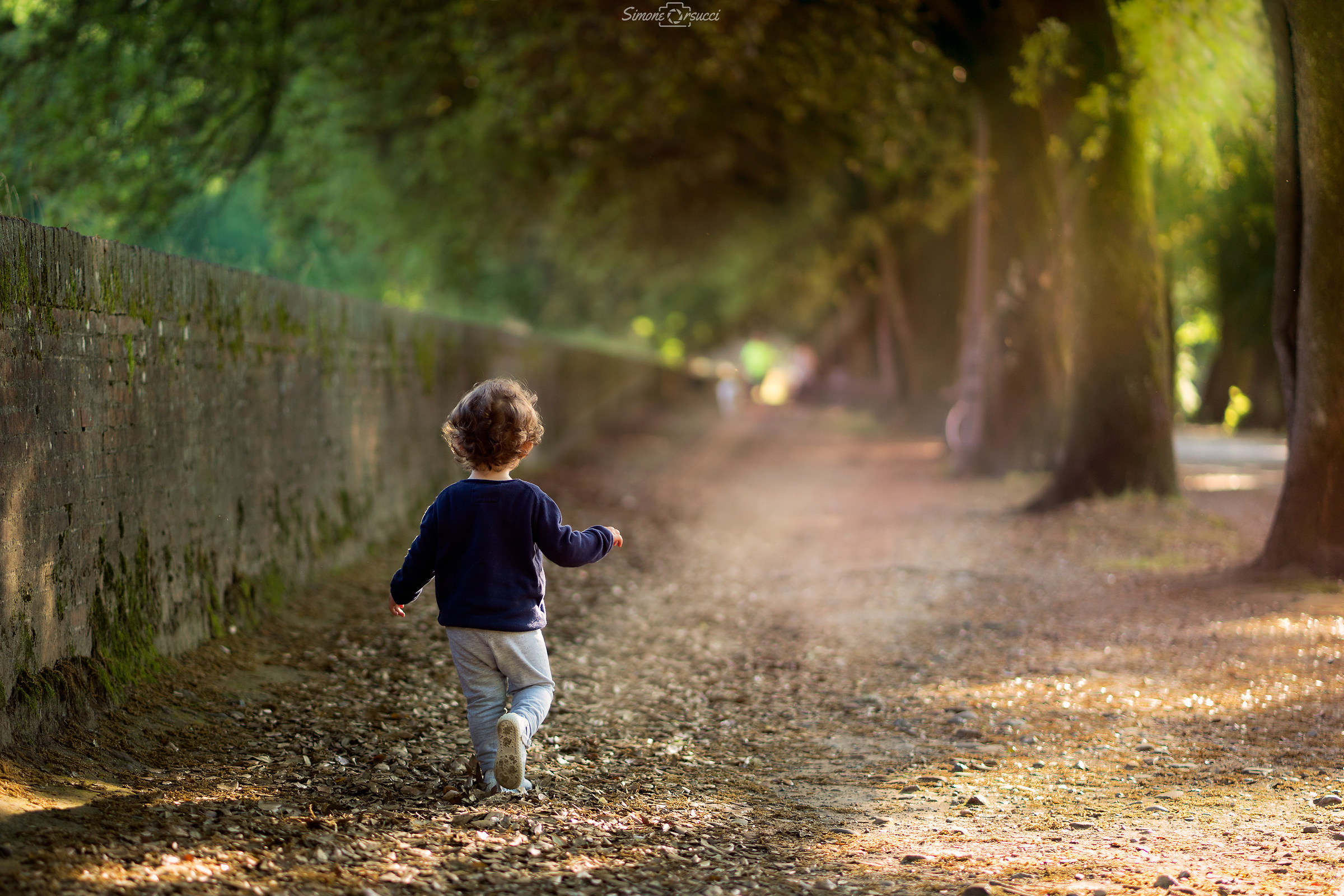 Walking on the walls