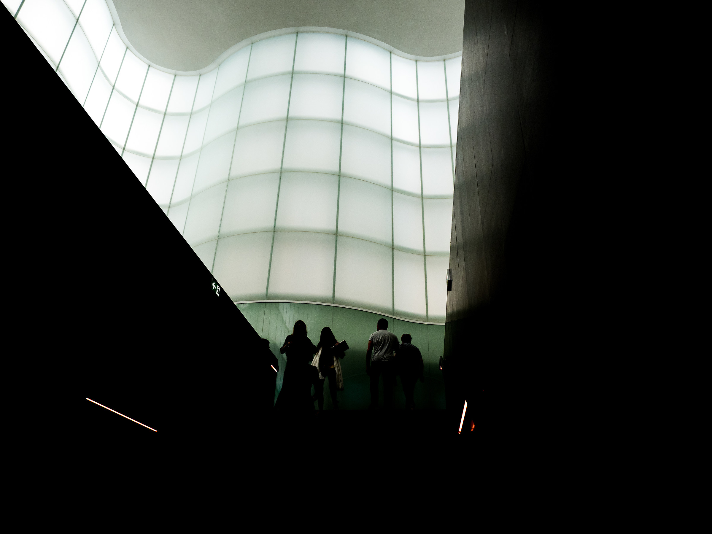 To see the stars again....