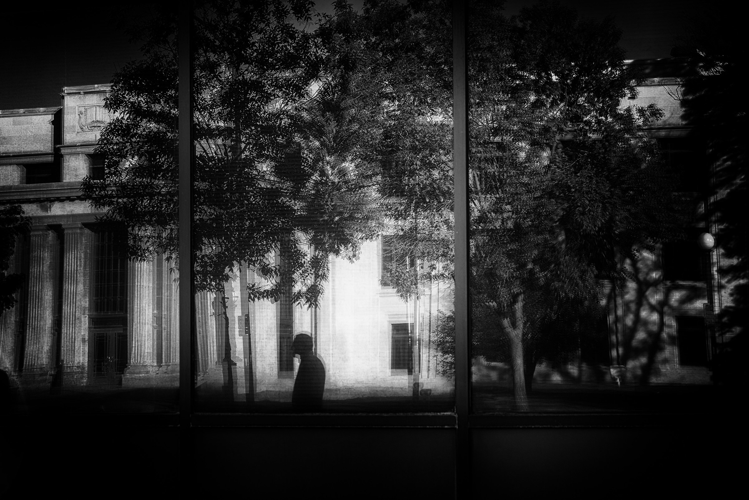 Riflessioni in bianco e nero