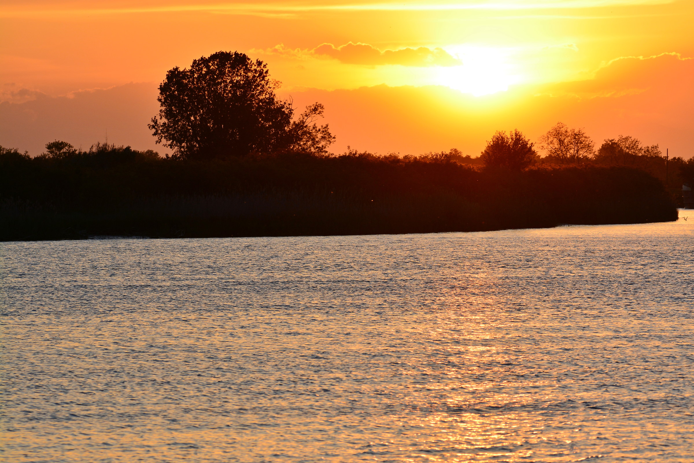 Mouth of the Tagliamento