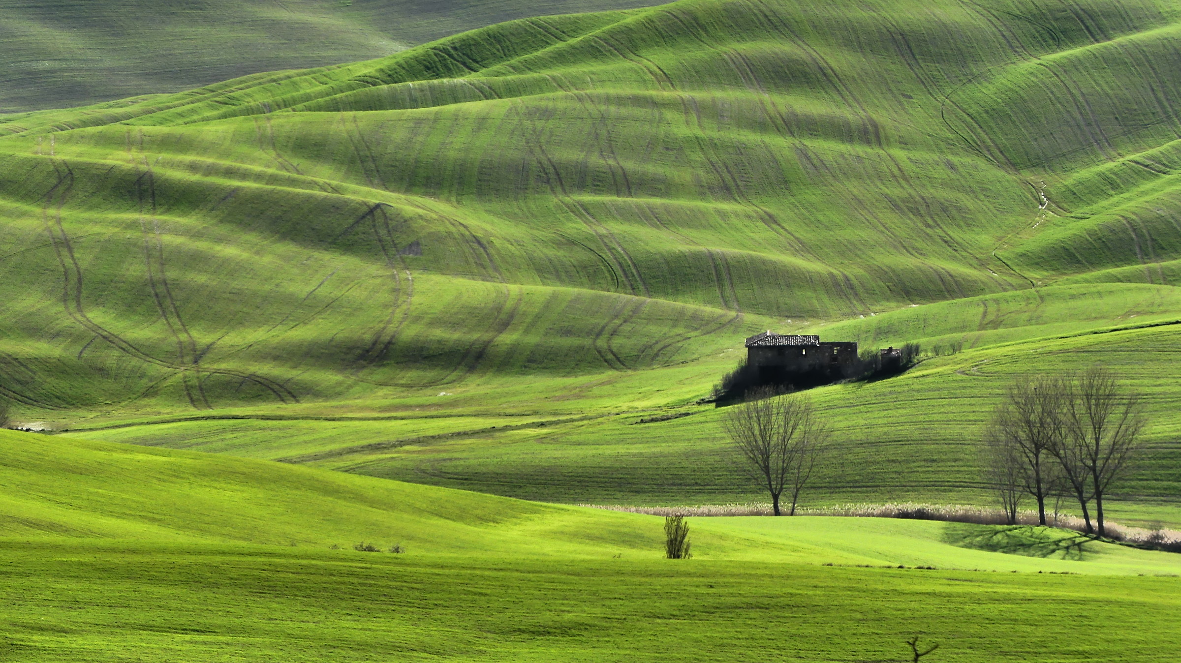 Crete senesi