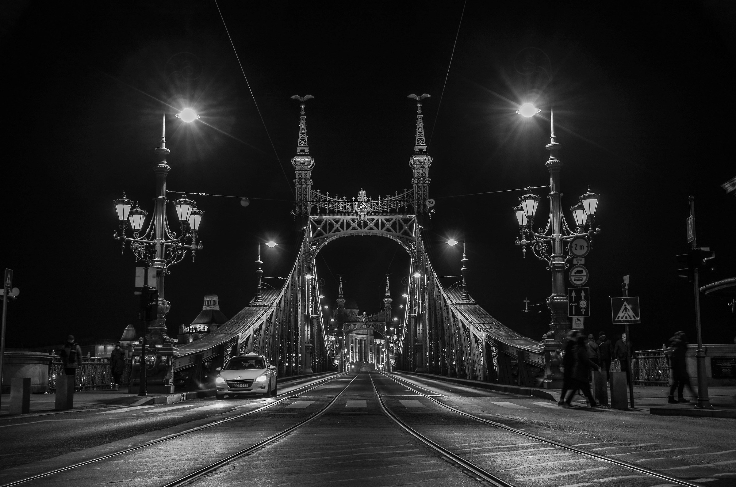Liberty Bridge Budapest BW