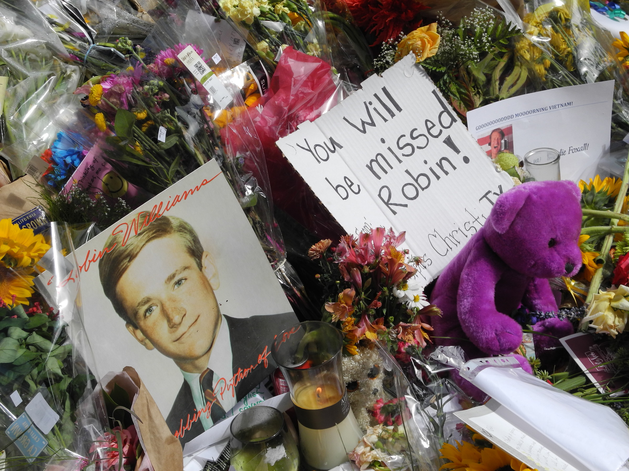 O Capitano, mio Capitano, Addio Robin