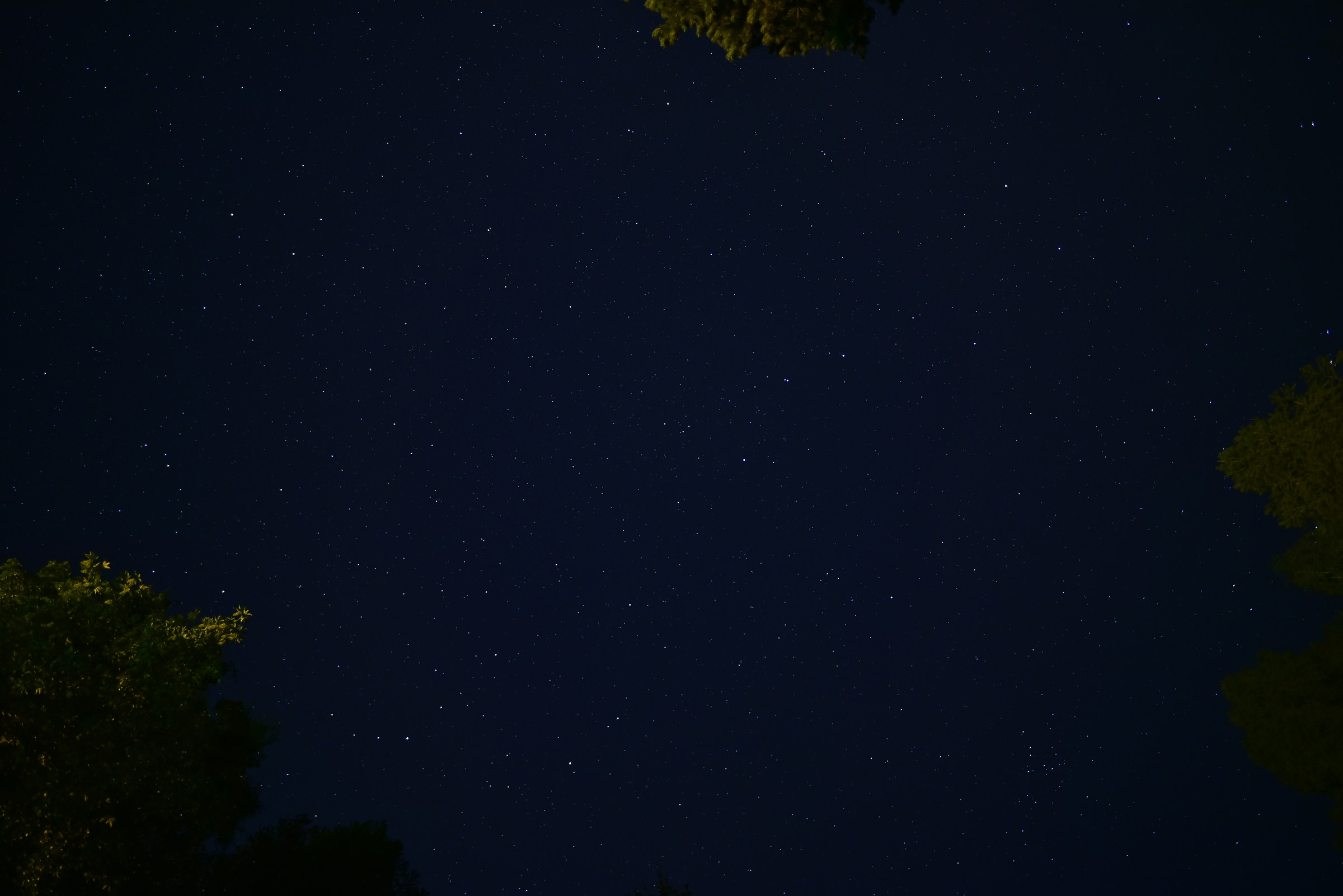 The beautiful stars of Nevegal (Belluno)