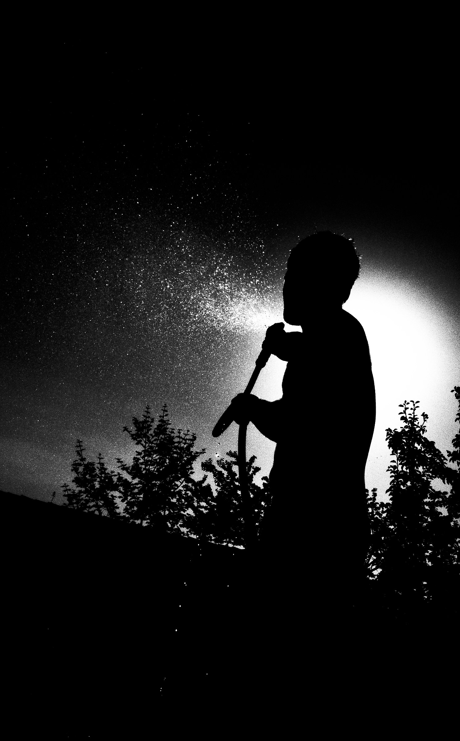 Una spruzzata di stelle