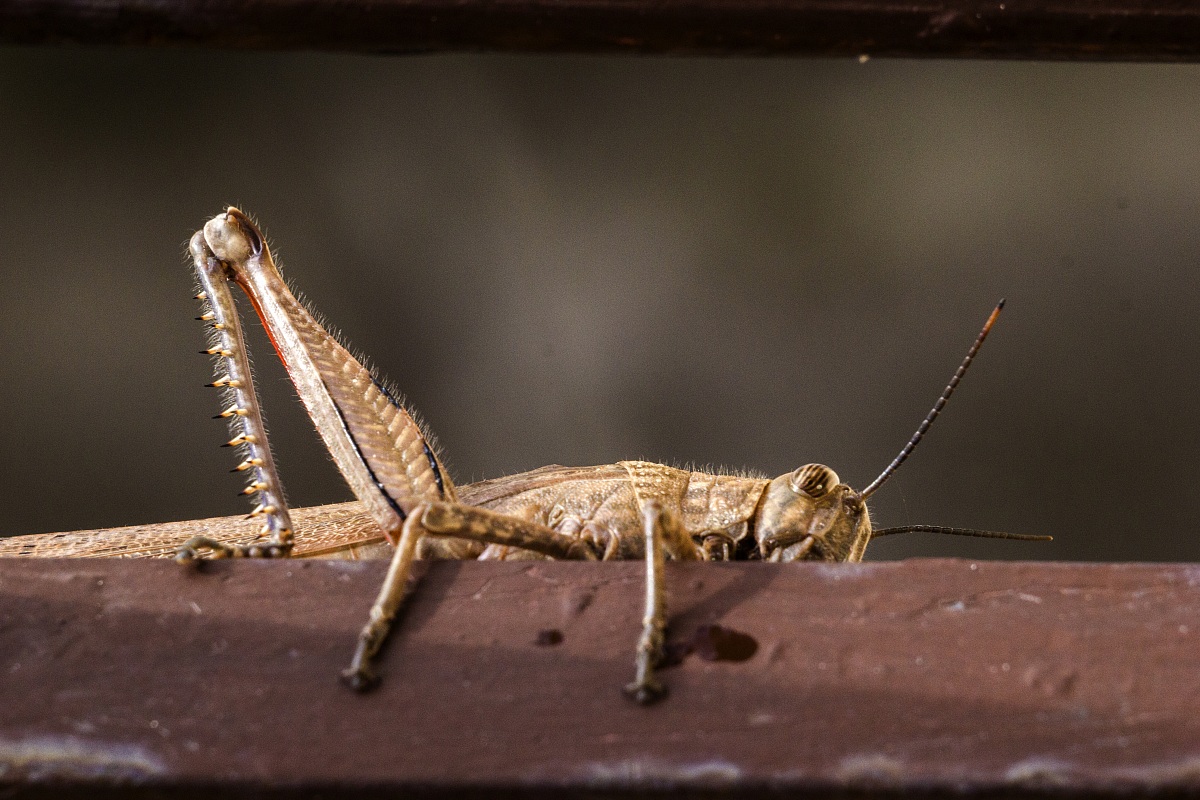 hey! cosa vuoi da me???