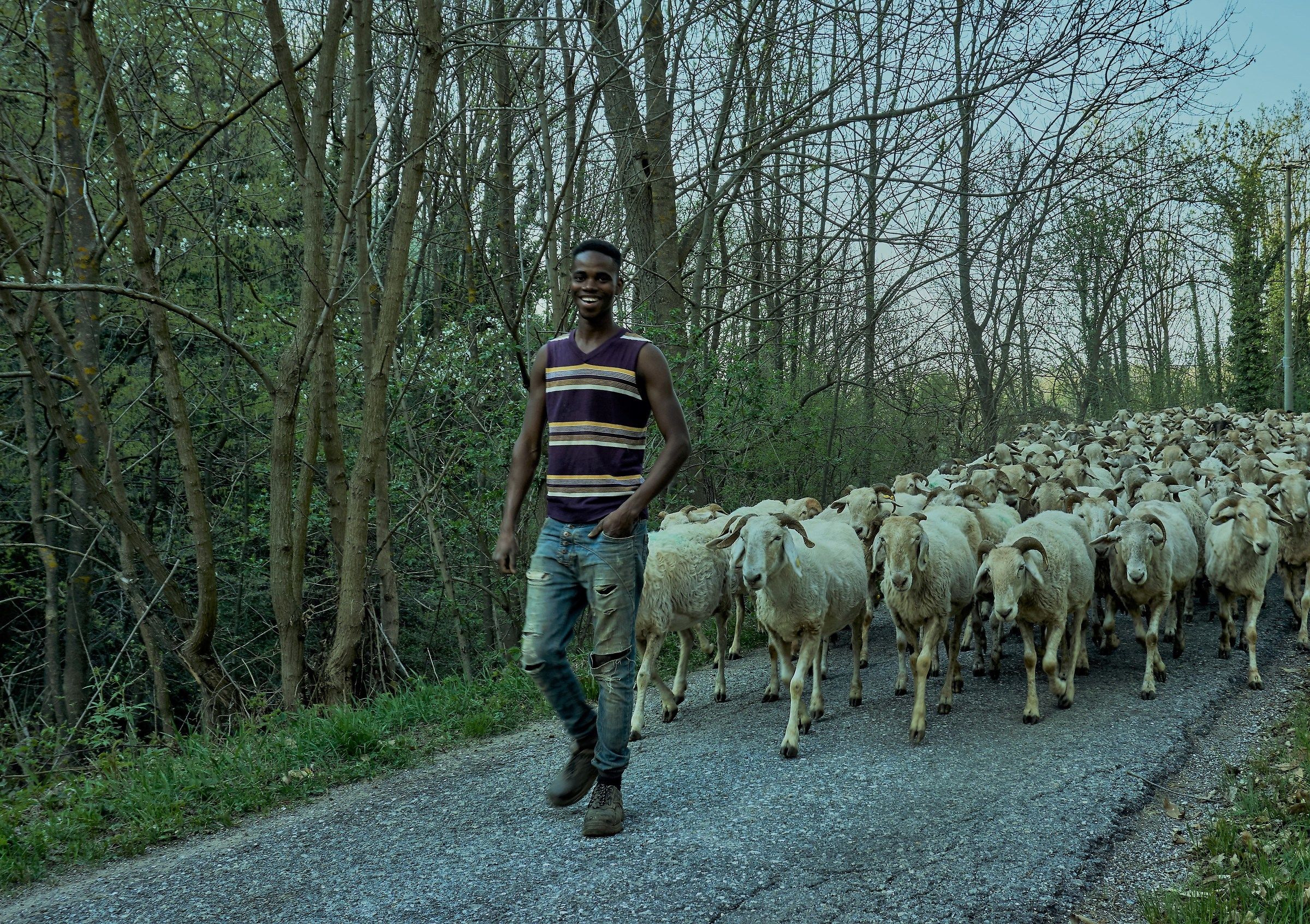 The Friendly Shepherd