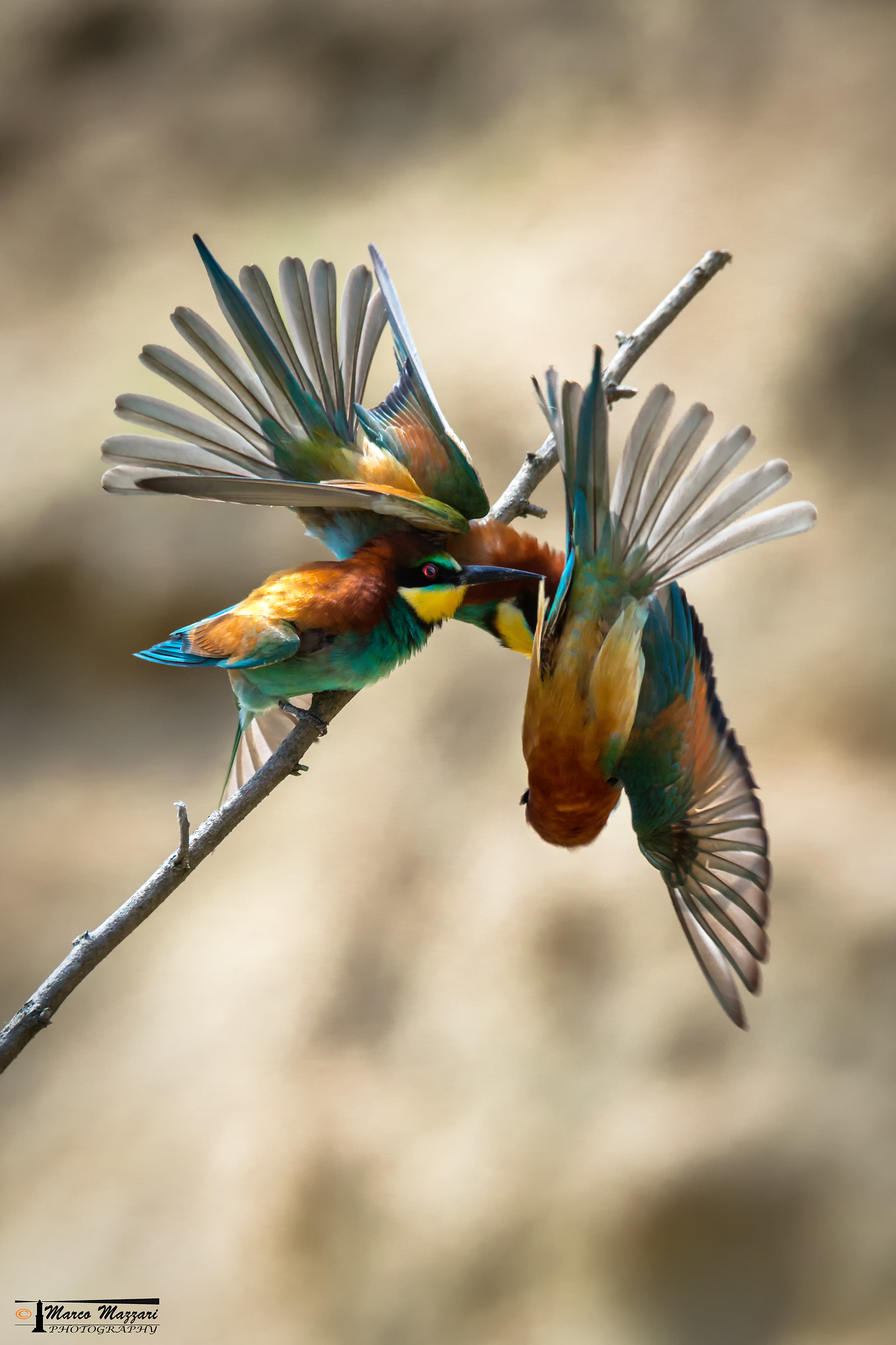 Giochi Pericolosi...