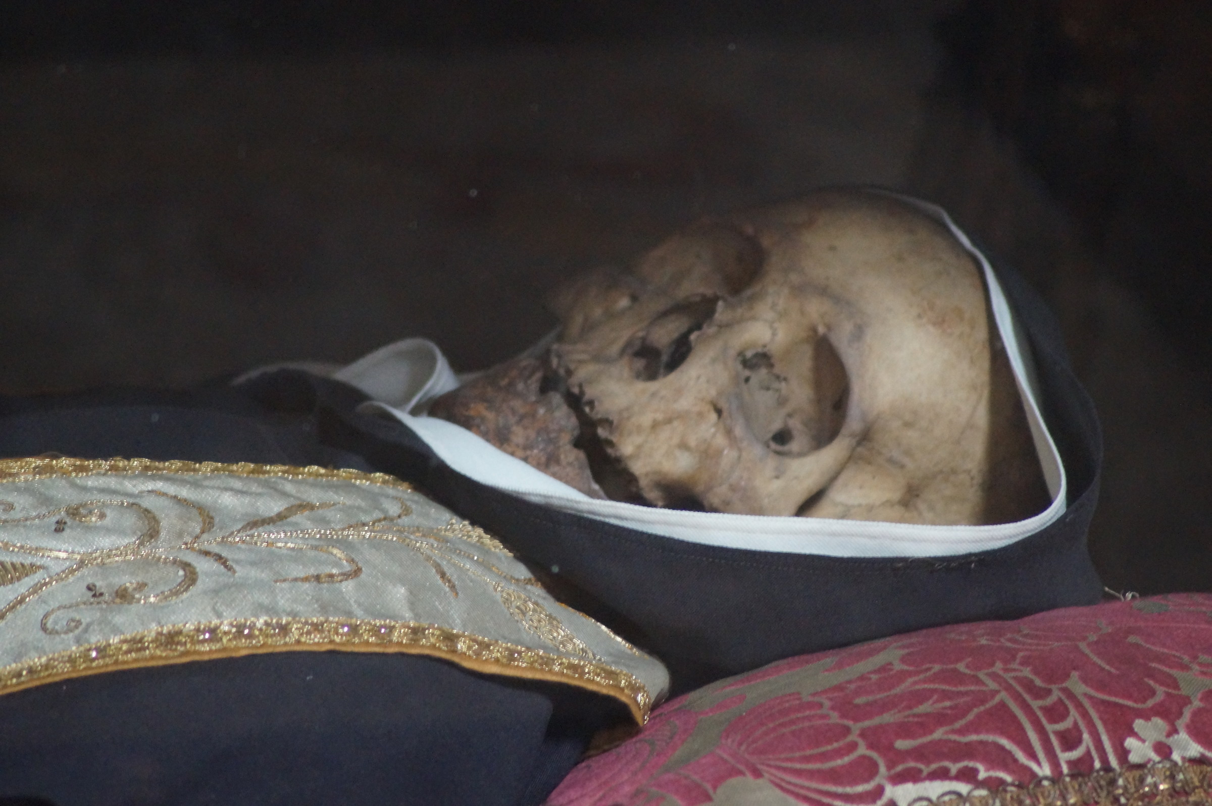 The blessed Mark from Modena