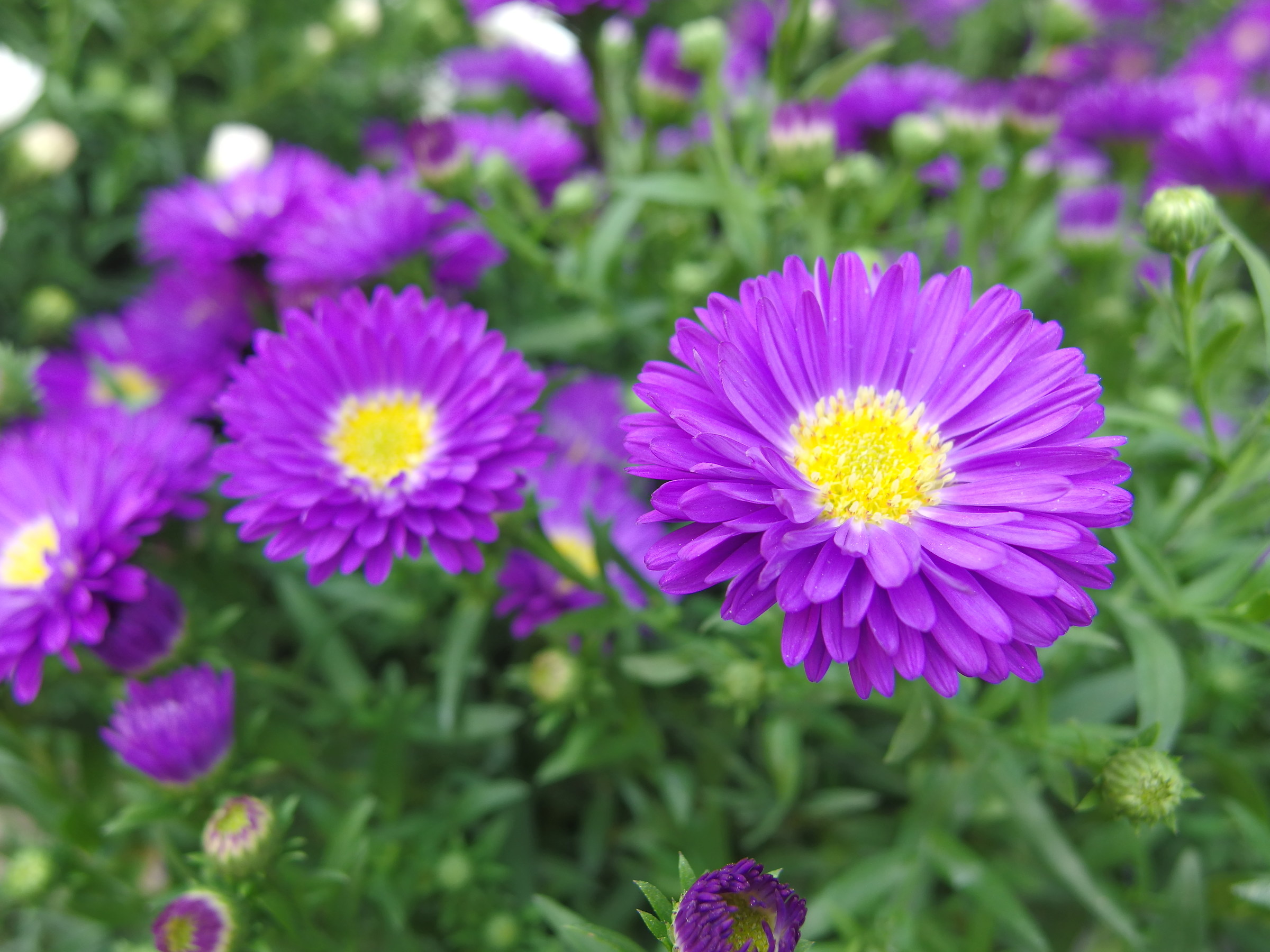 Mi è piaciuta così!