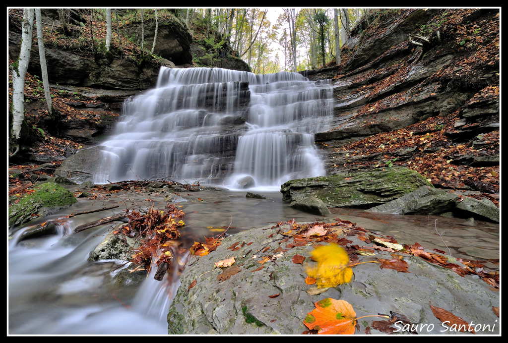 Cascate con foglia mossa