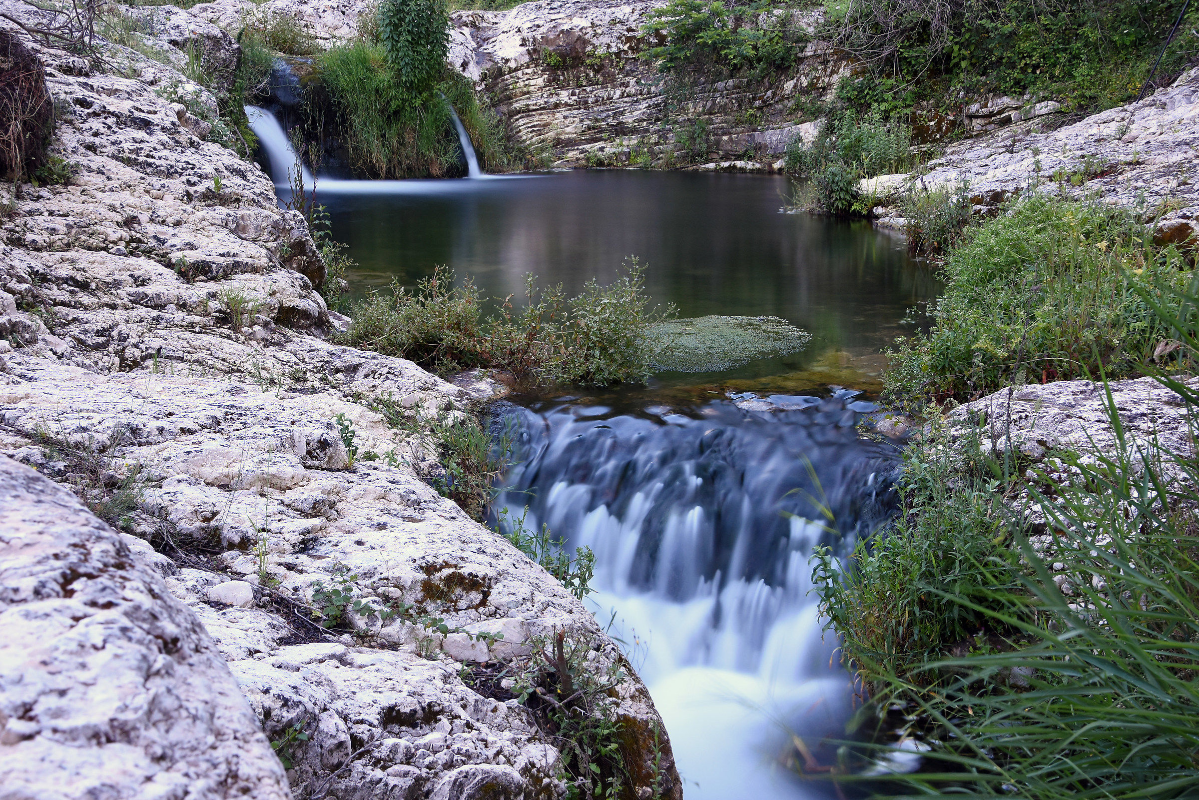 Oasis near Lake Dirillo
