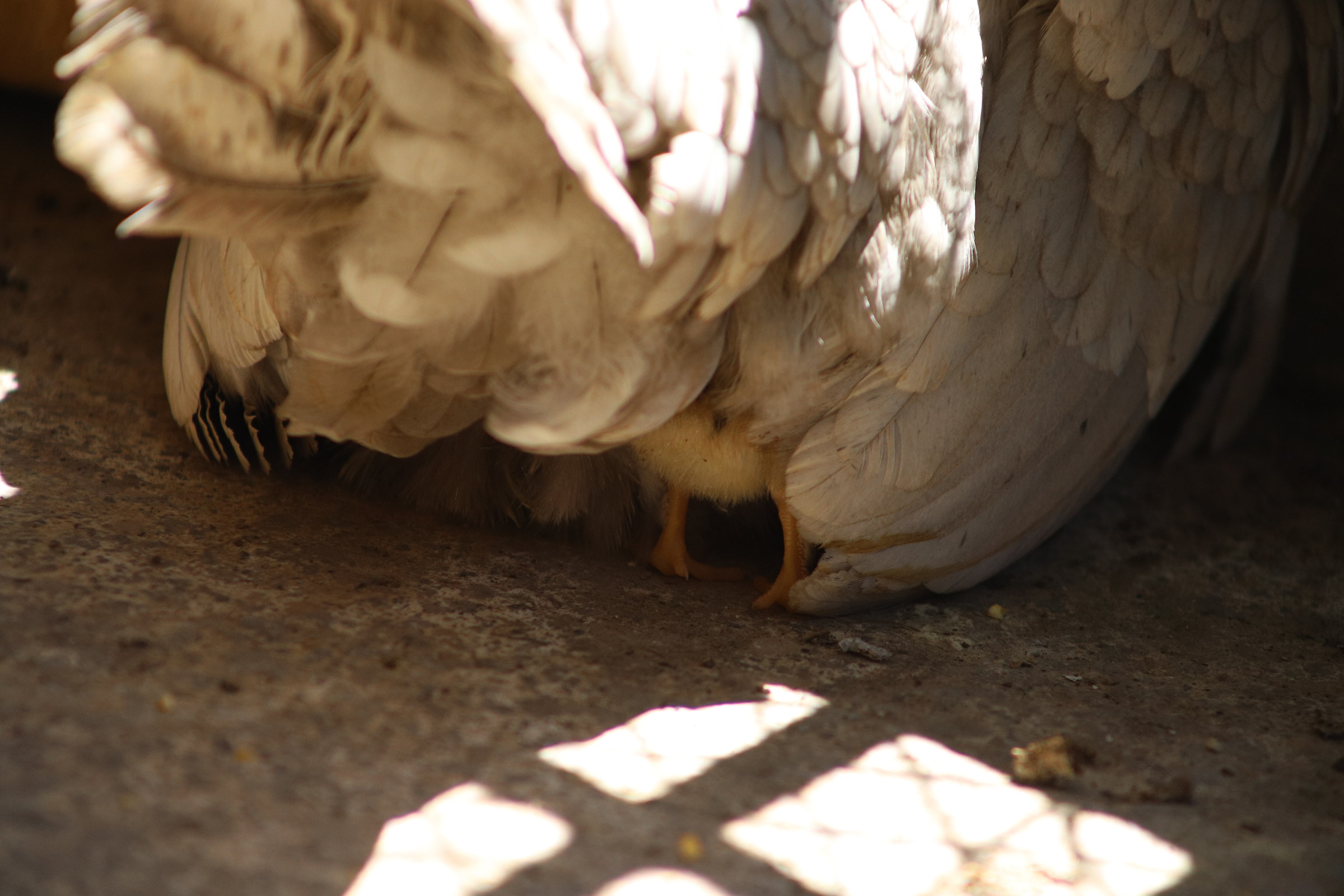 Nascondiglio perfetto