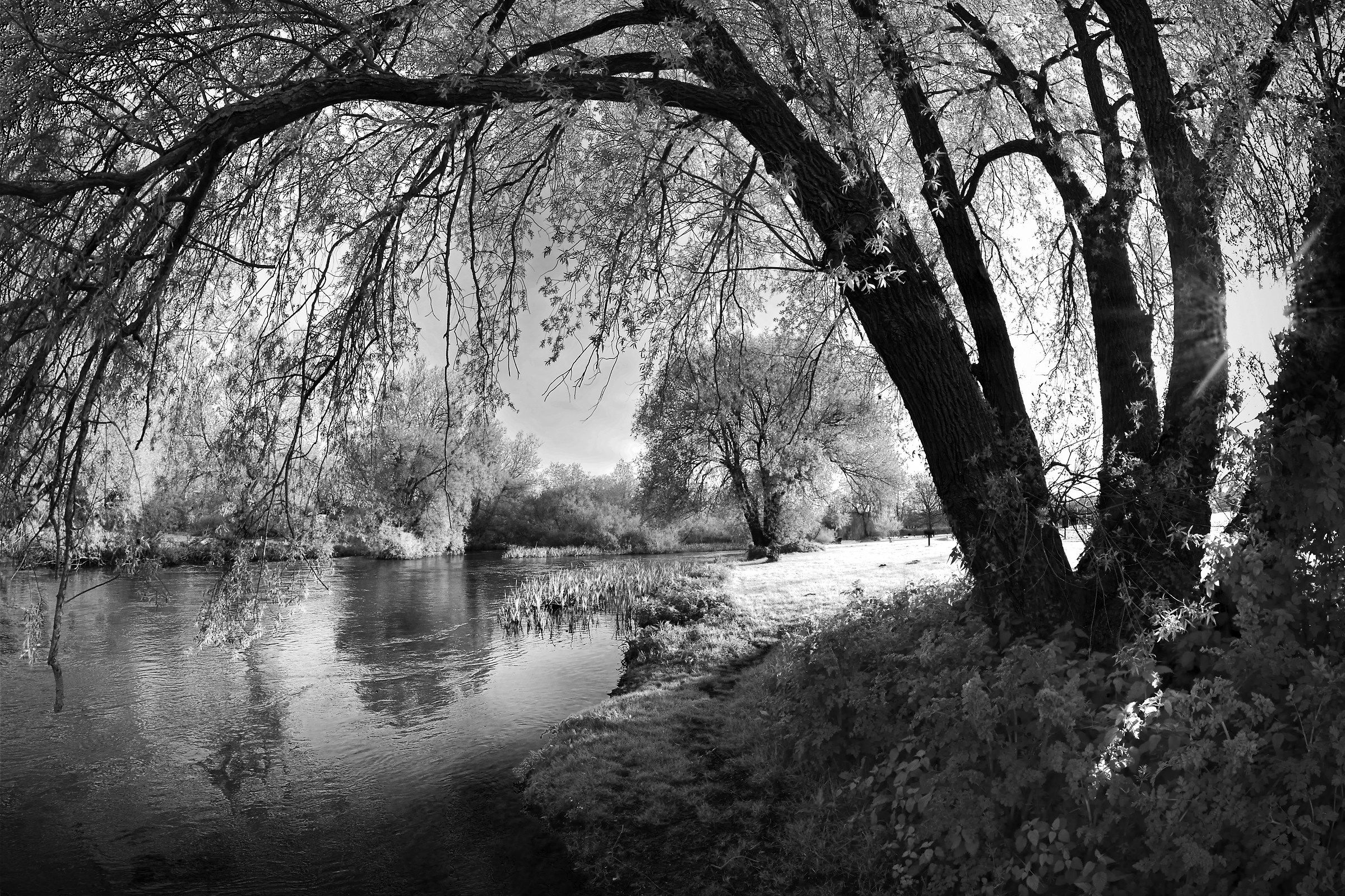 Sul fiume inglese-B & W