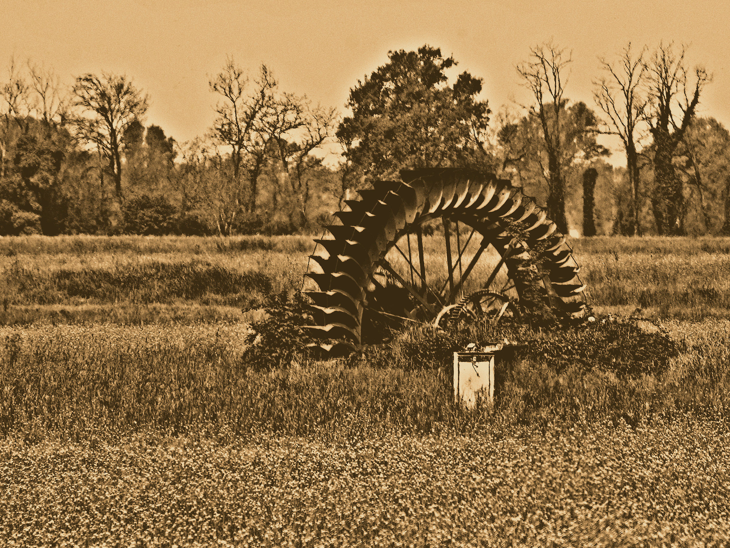 Ricordi di un tempo che fu