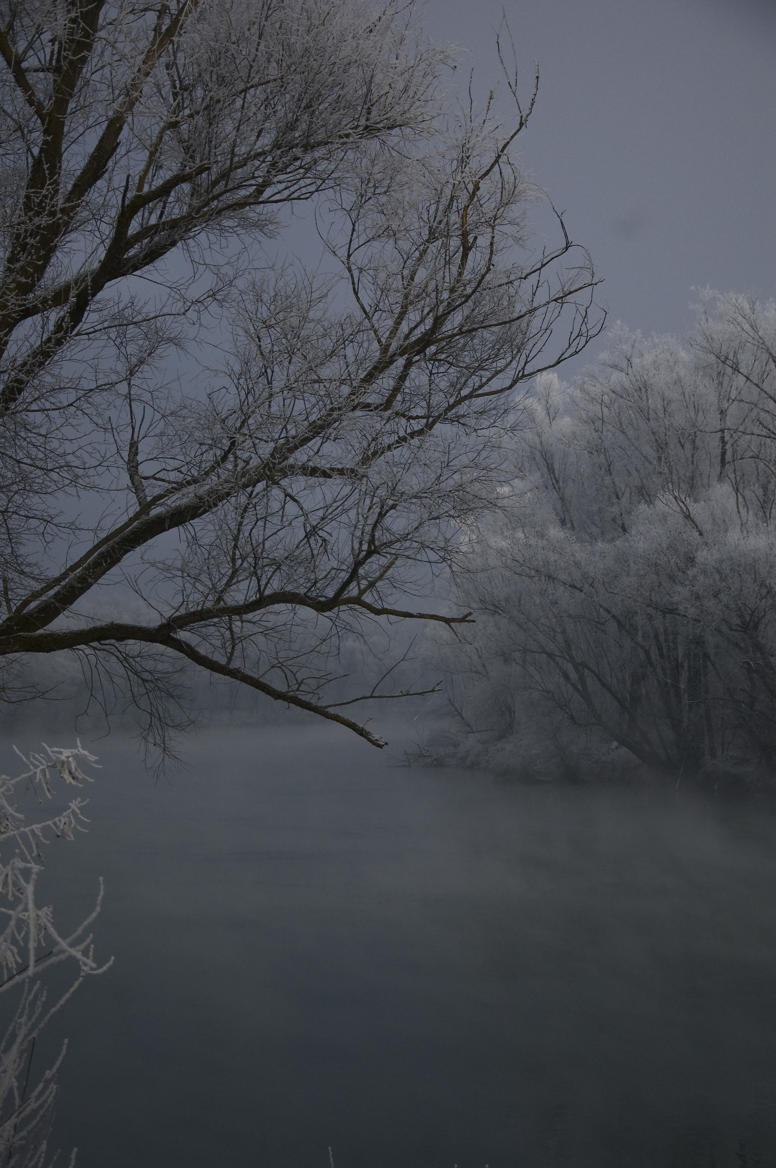 ricordi di un inverno lontano