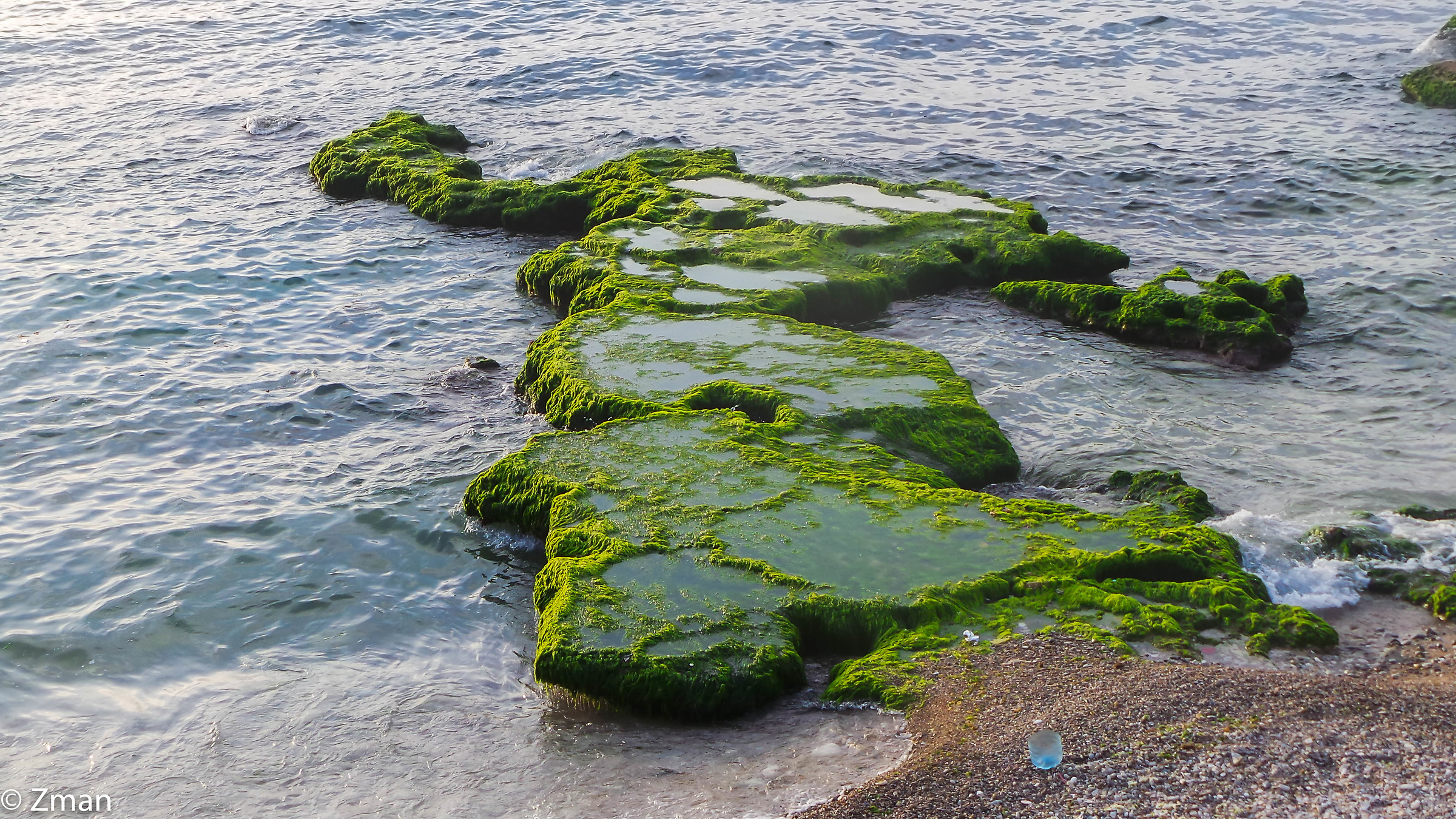 Rocks ,Sea and Algae