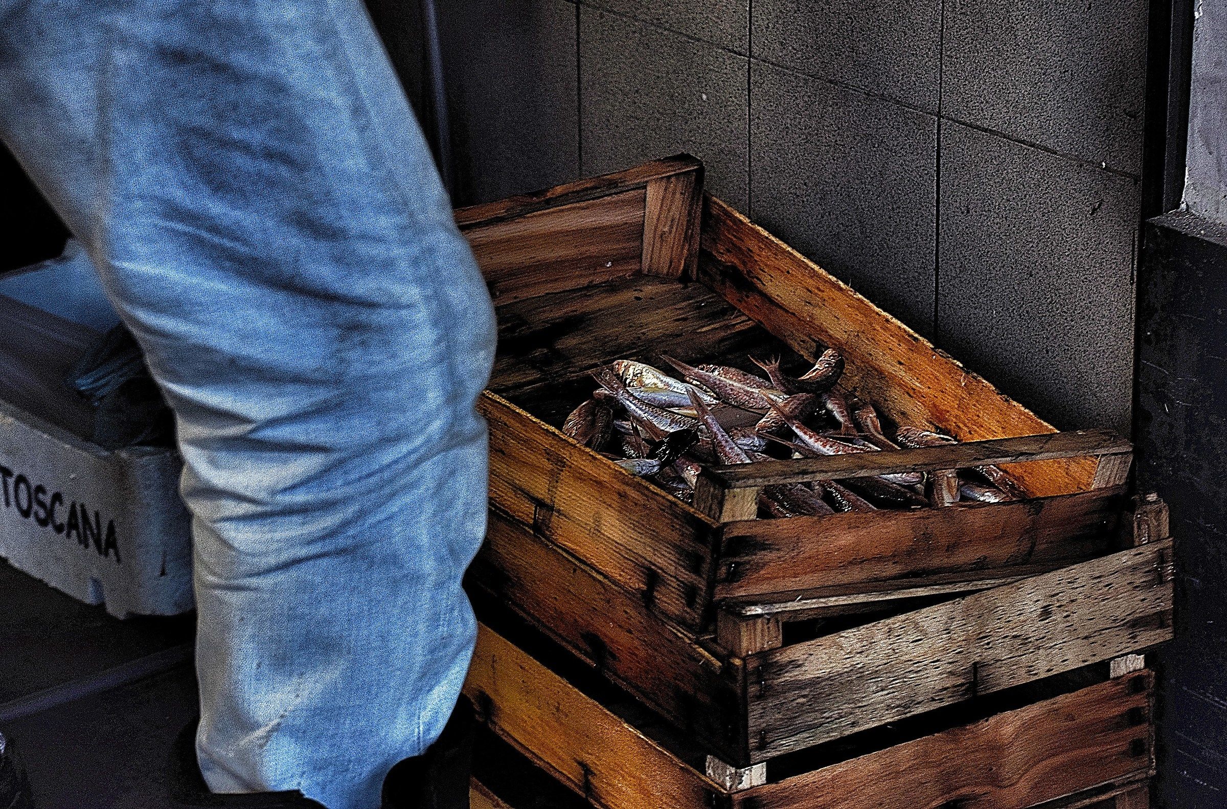 S. MARGHERITA (GE)-Freshly caught