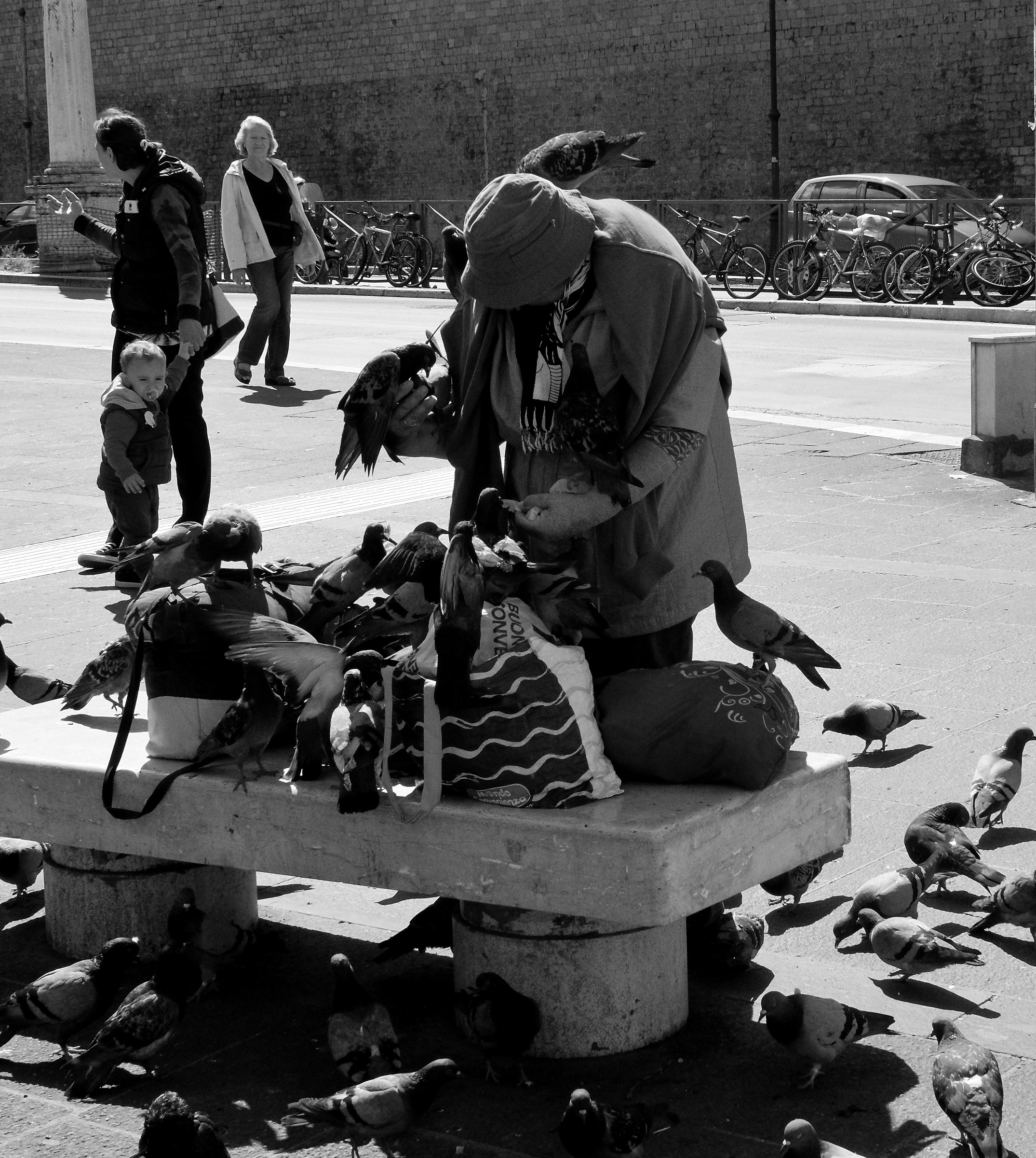 La signora dei piccioni a piazzale Flaminio