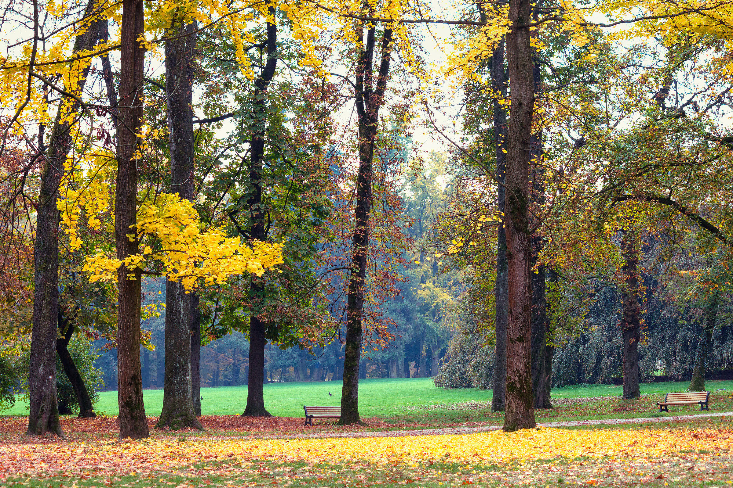 Un parco in autunno