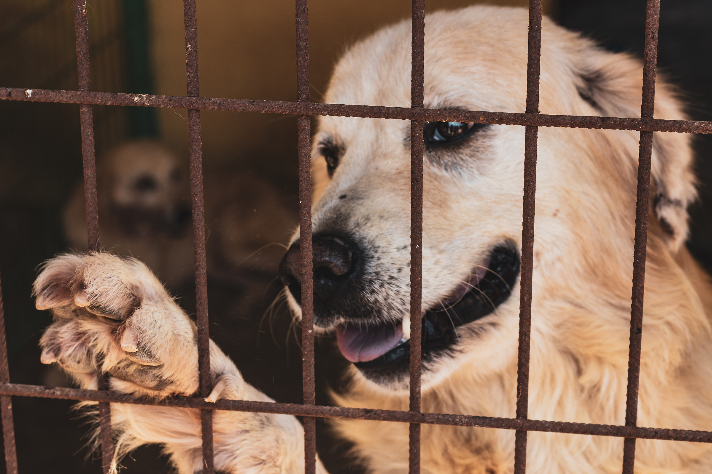 Visit lovely friends..