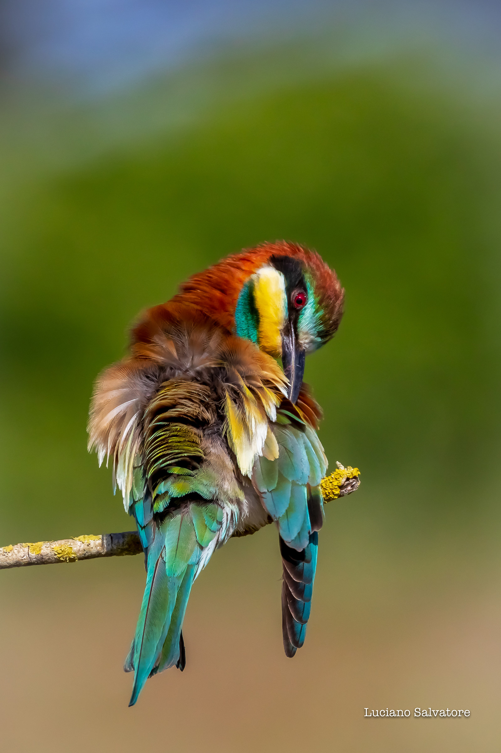 The wind spills the box of colors