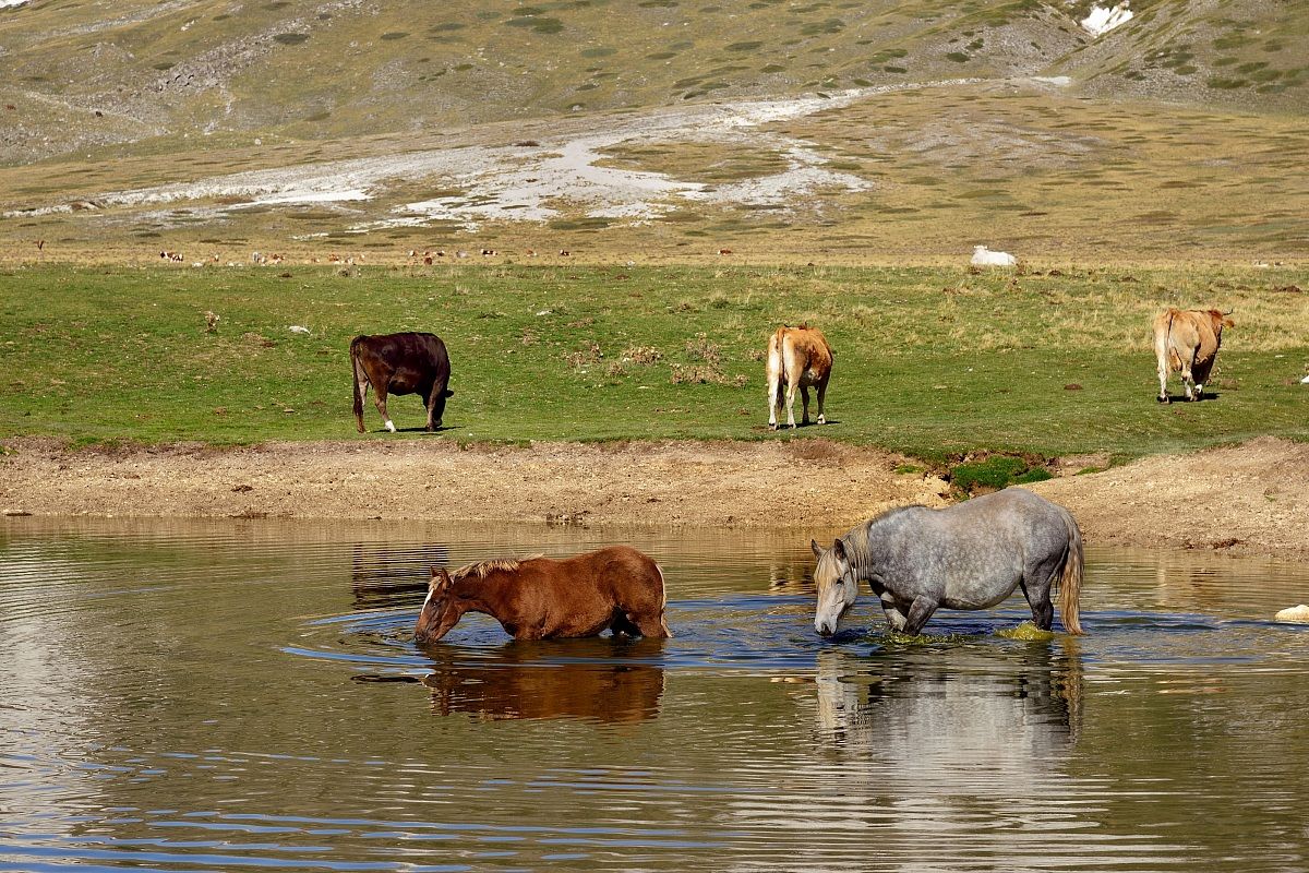 campo imperatore