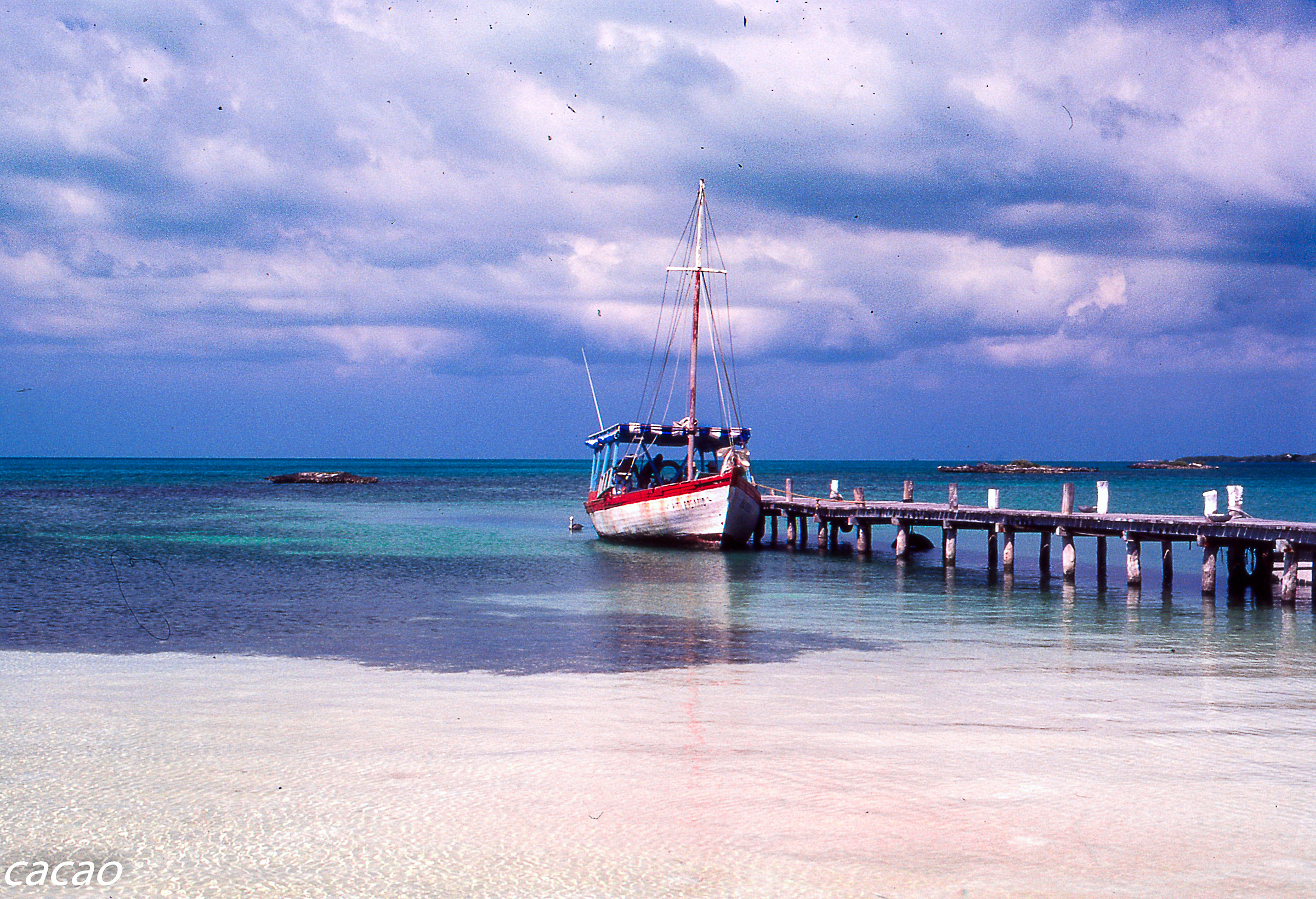 Sabor caribe isla Mujeres Yucatan