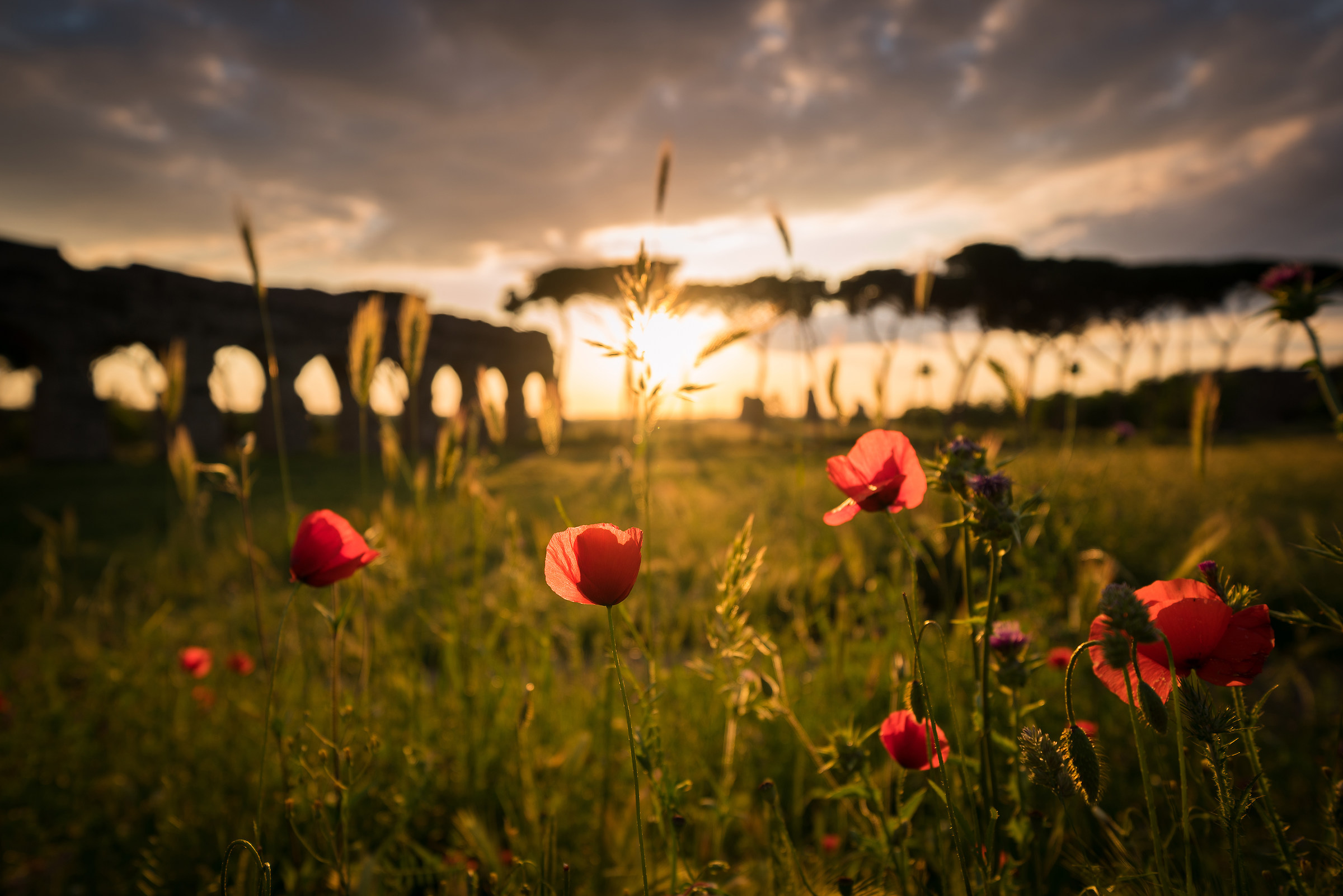 At the aqueducts Park
