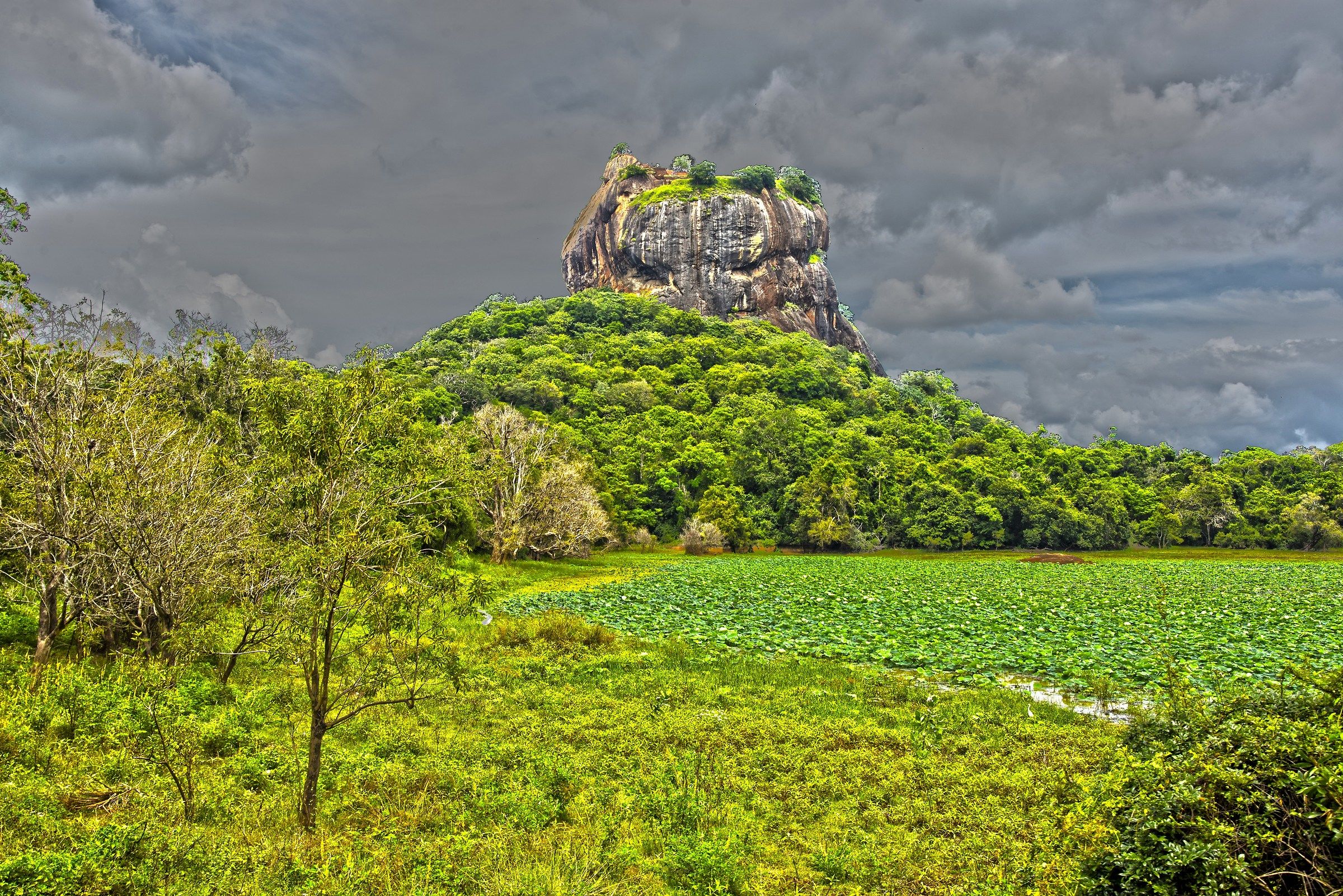 View of Sigiriya