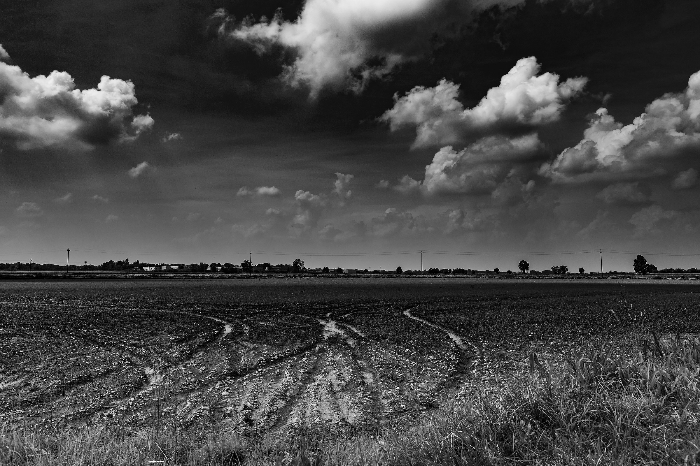 Temporale sulla risaia