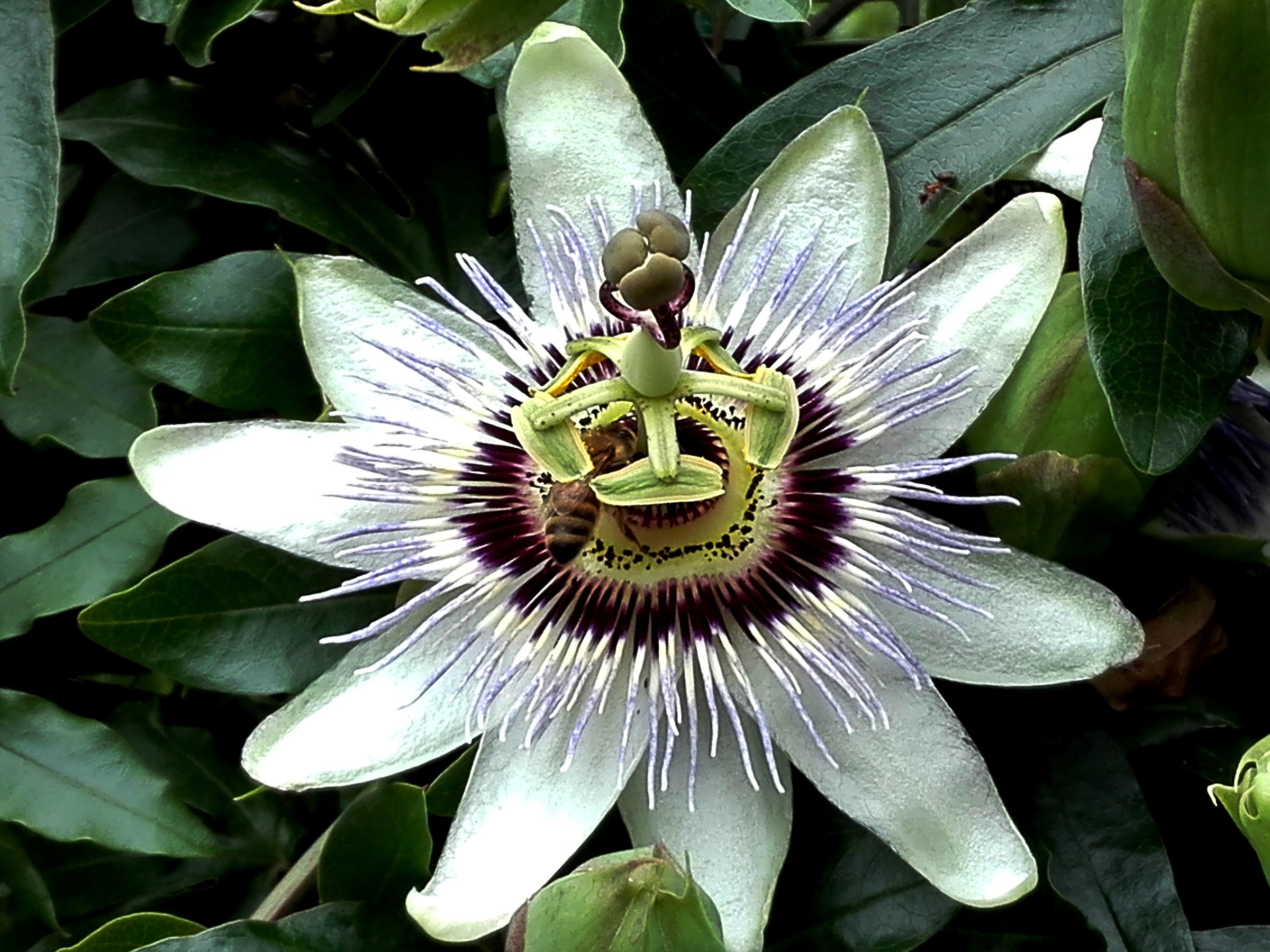 Find out who's hiding!