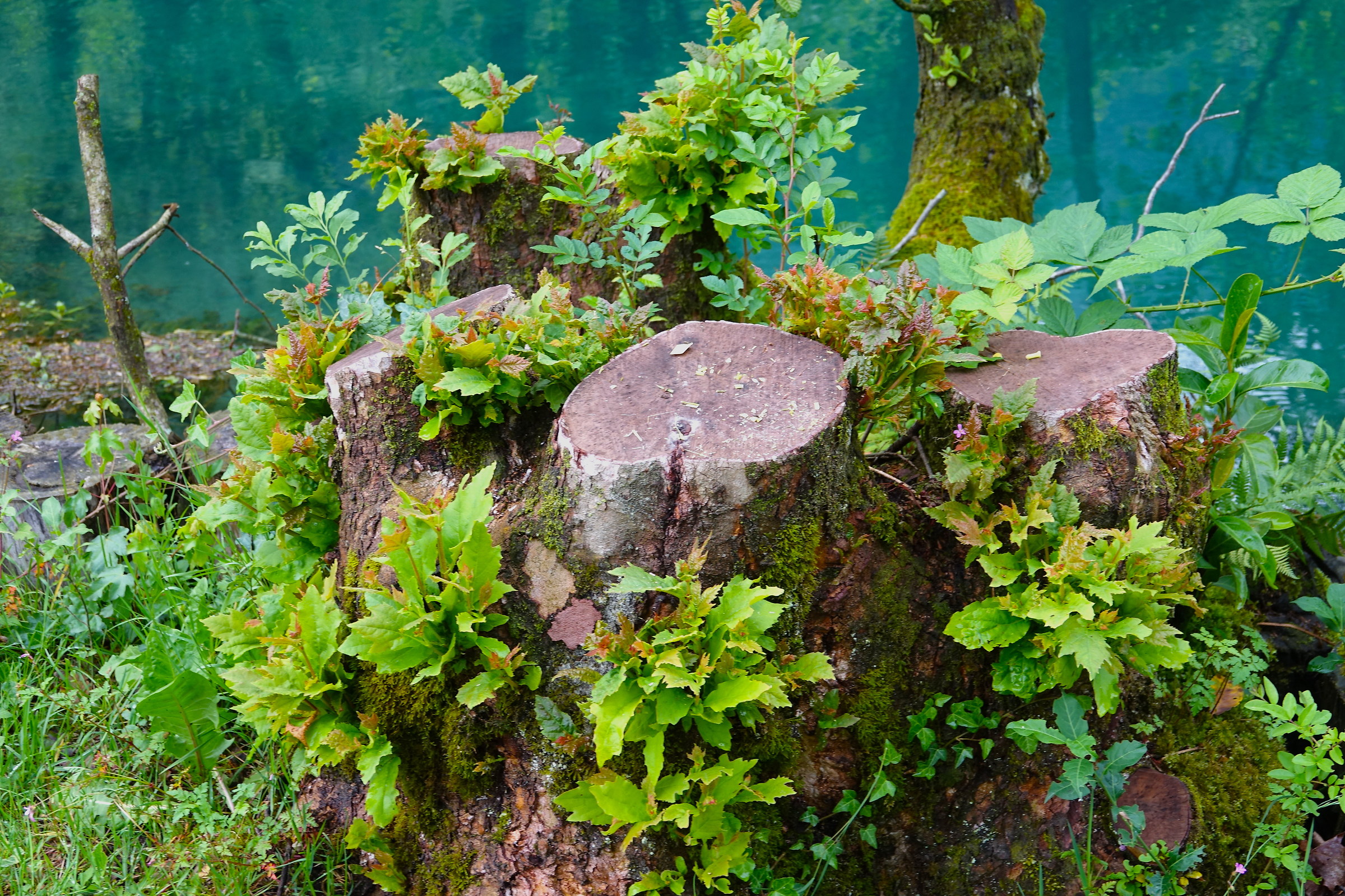 ...ripartiamo da zero