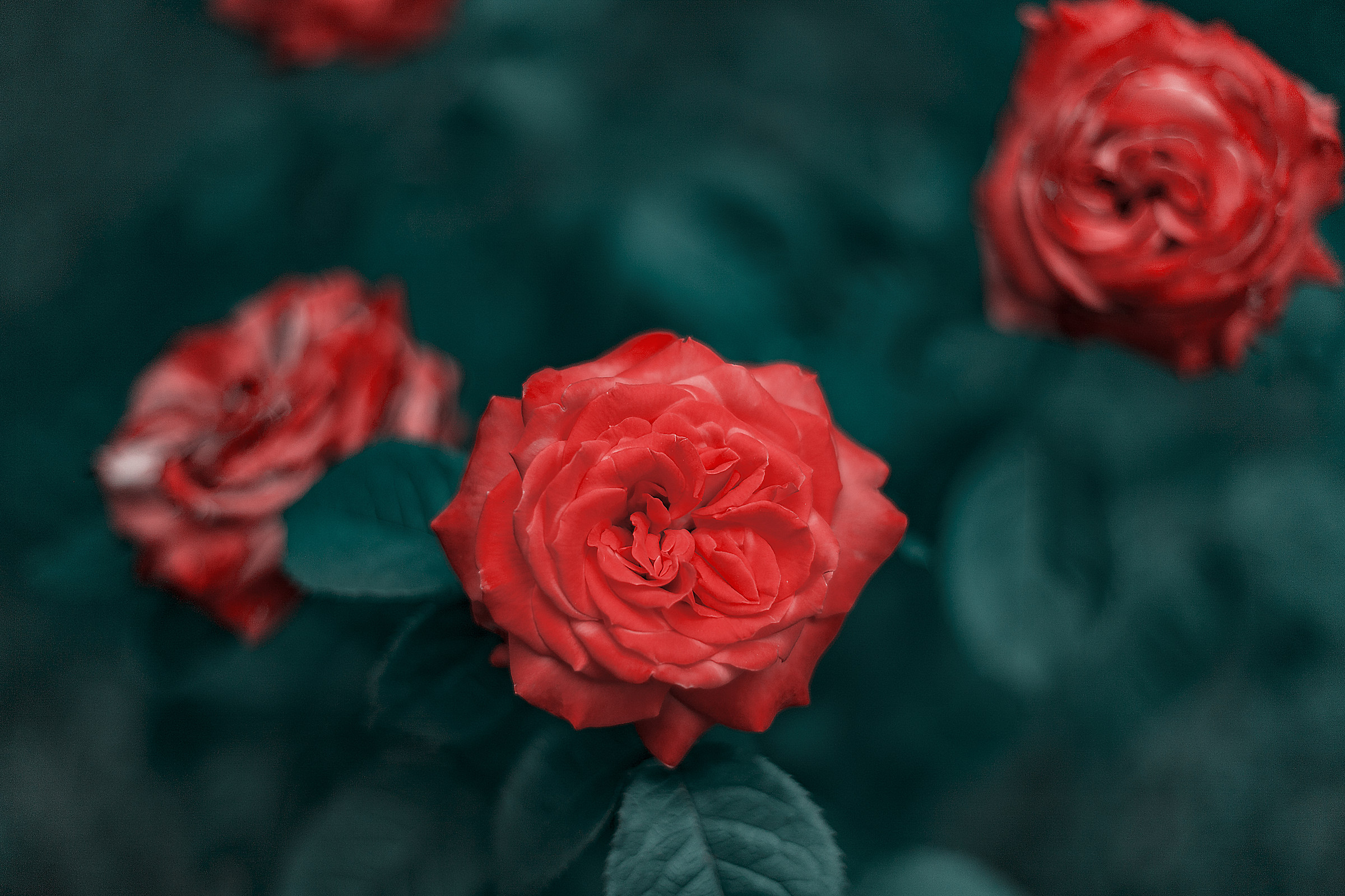 Il vecchio e il nuovo