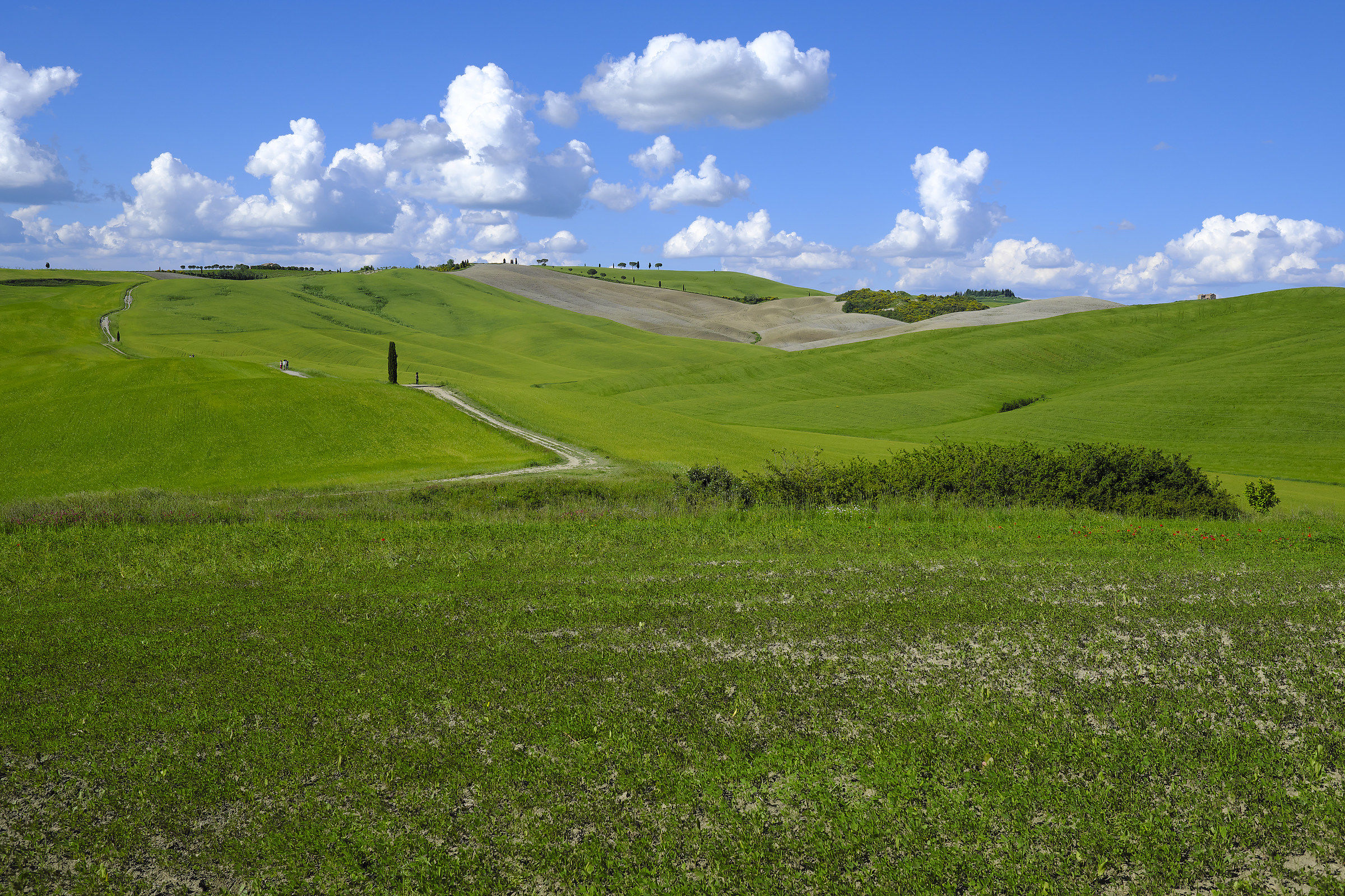Val D'orcia
