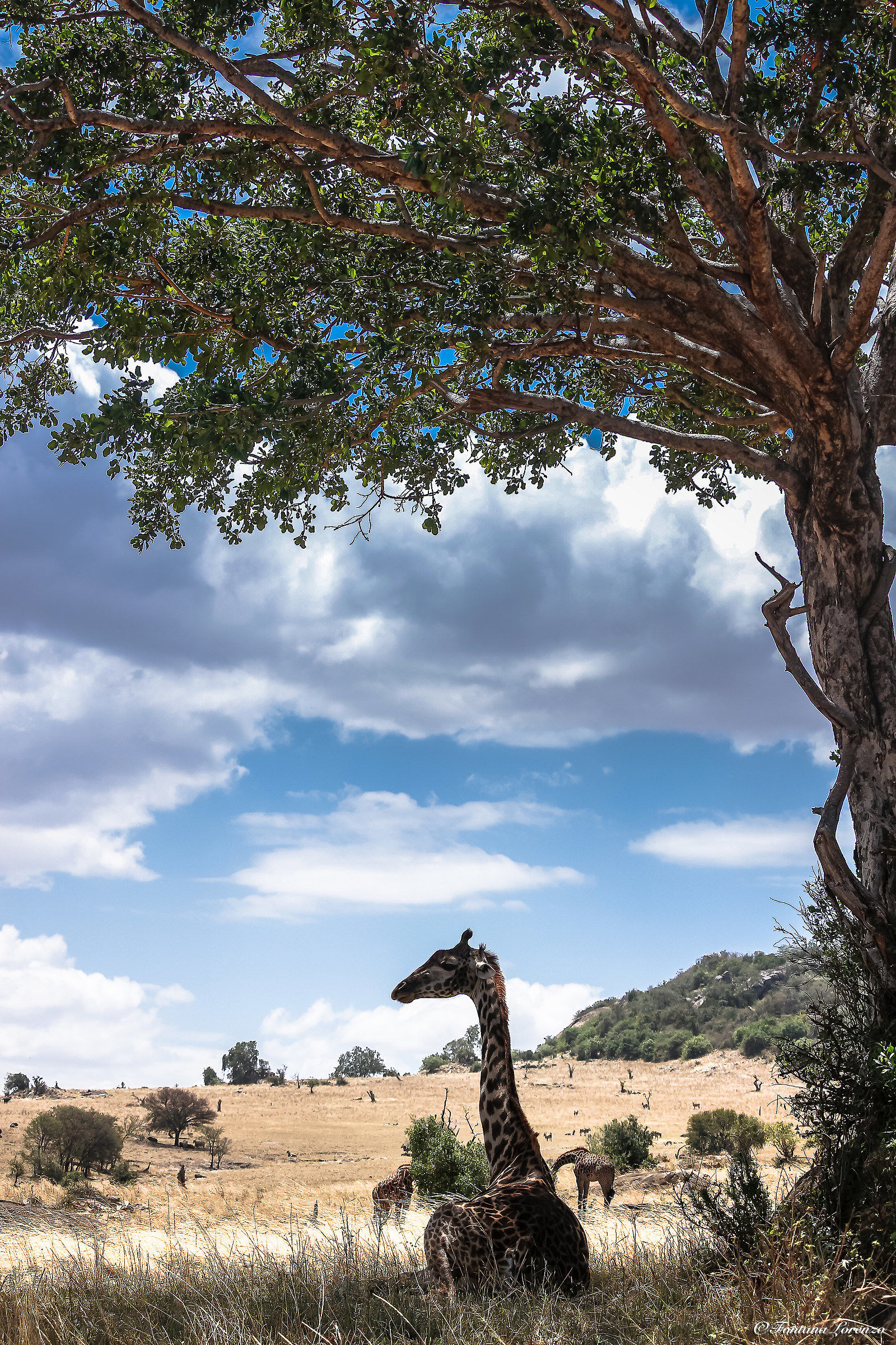 Senza tempo, senza memoria
