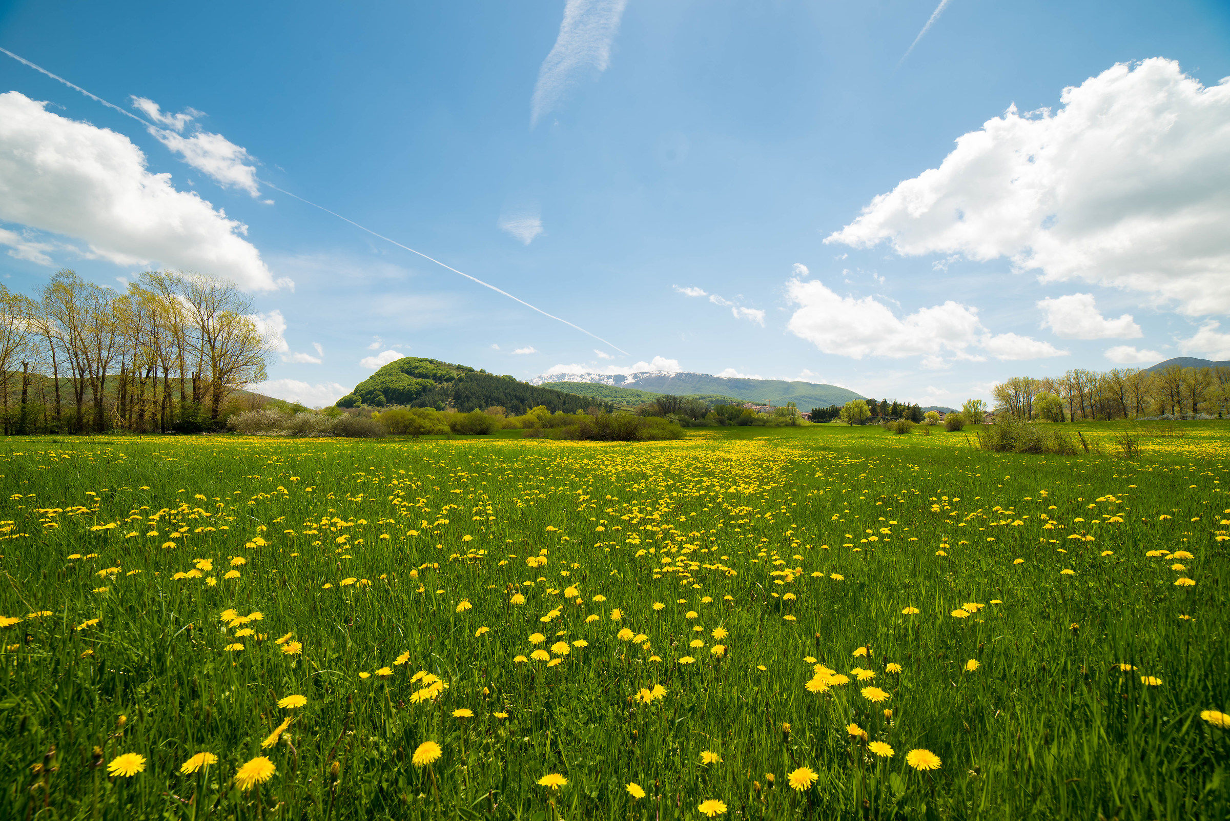 Flowering meadows and clouds