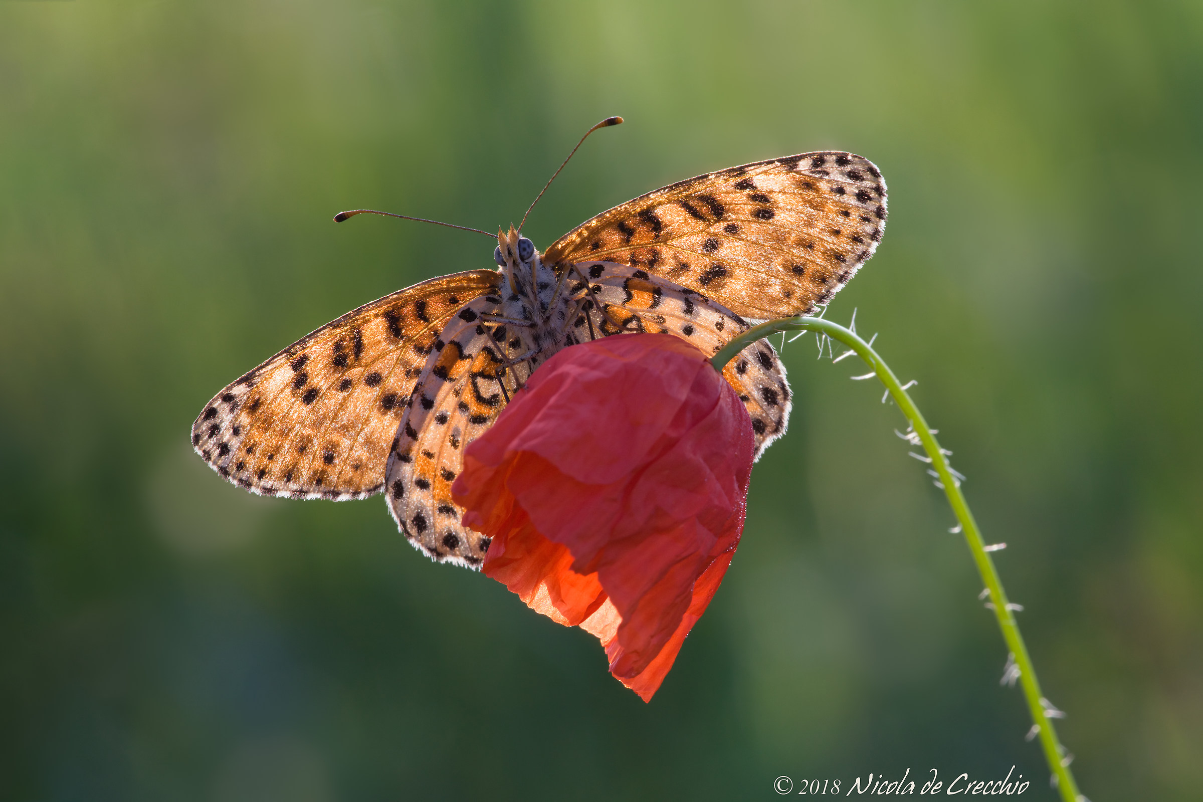 One more moment and flight...