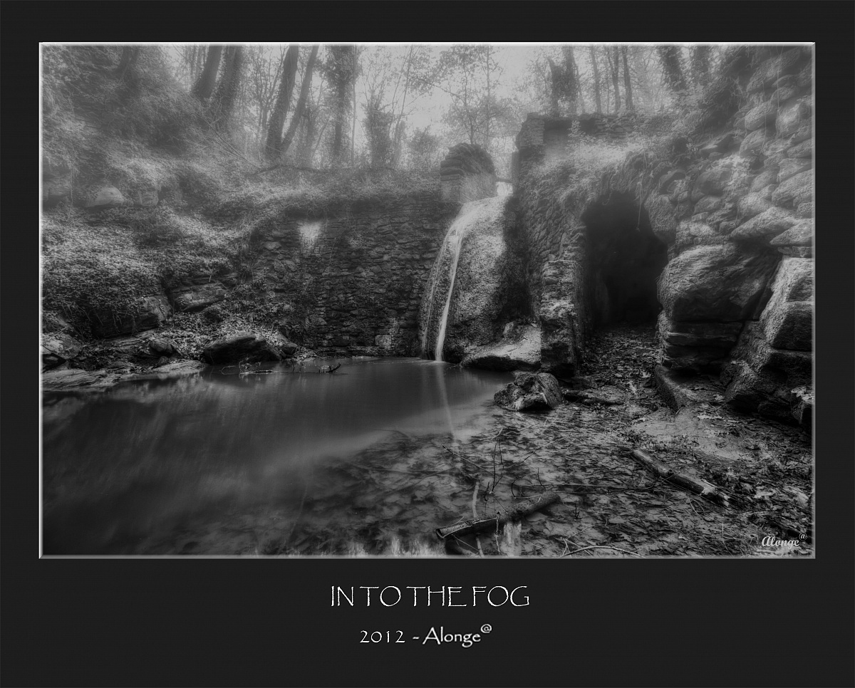 IN TO THE FOG
