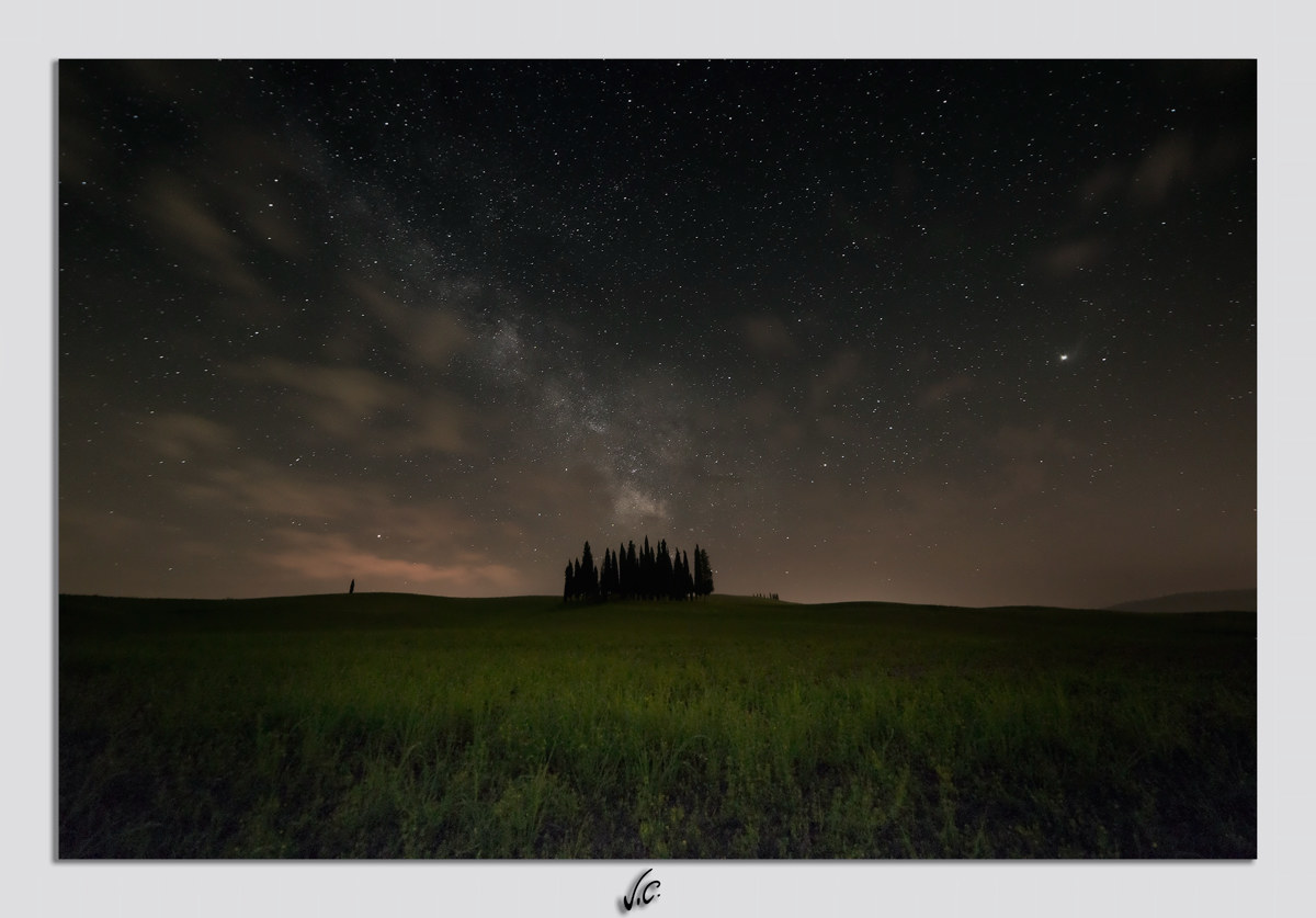 Cypresses Val D'orcia