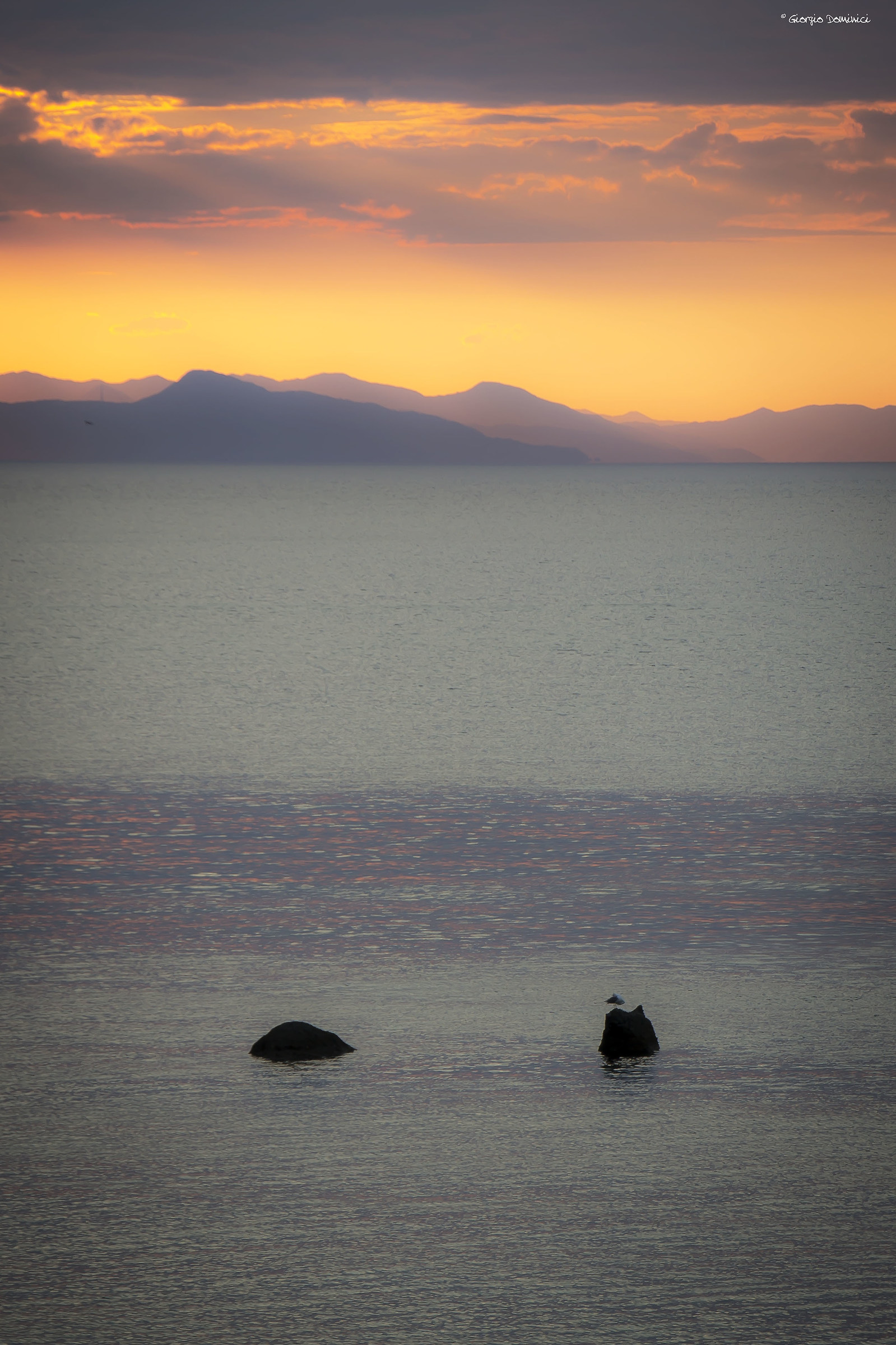 Alba, Celle Ligure SV