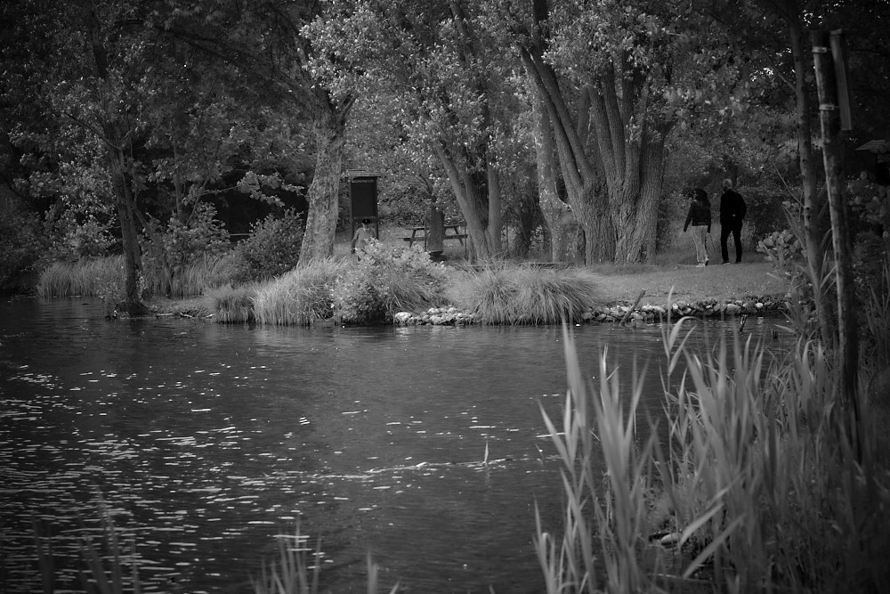 A "Walk" on Saturdays